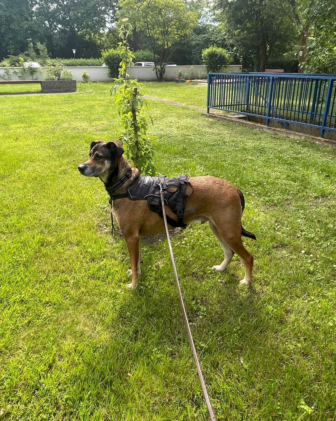 image-5