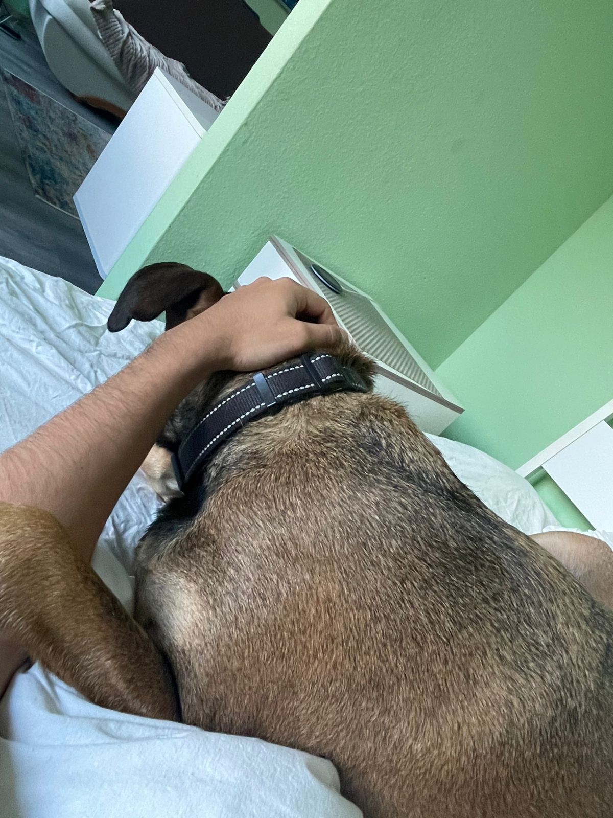 image-10