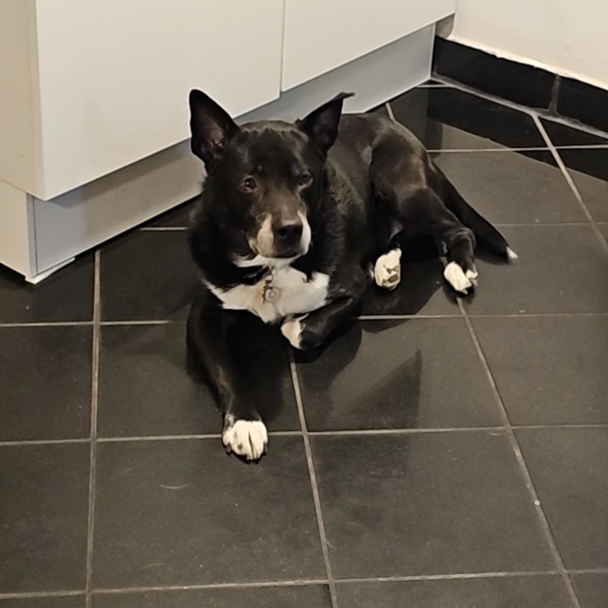 diesel