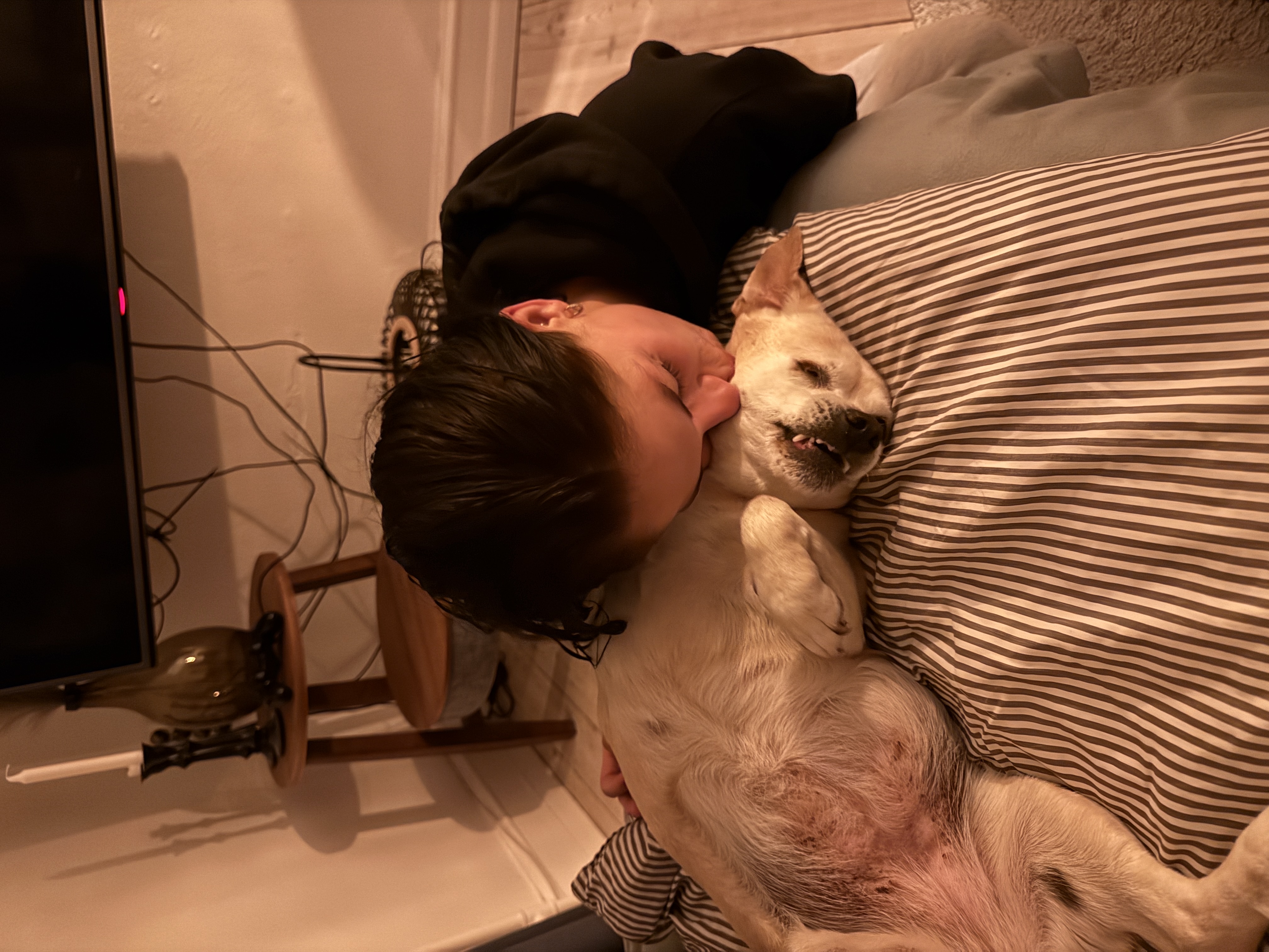 image-6