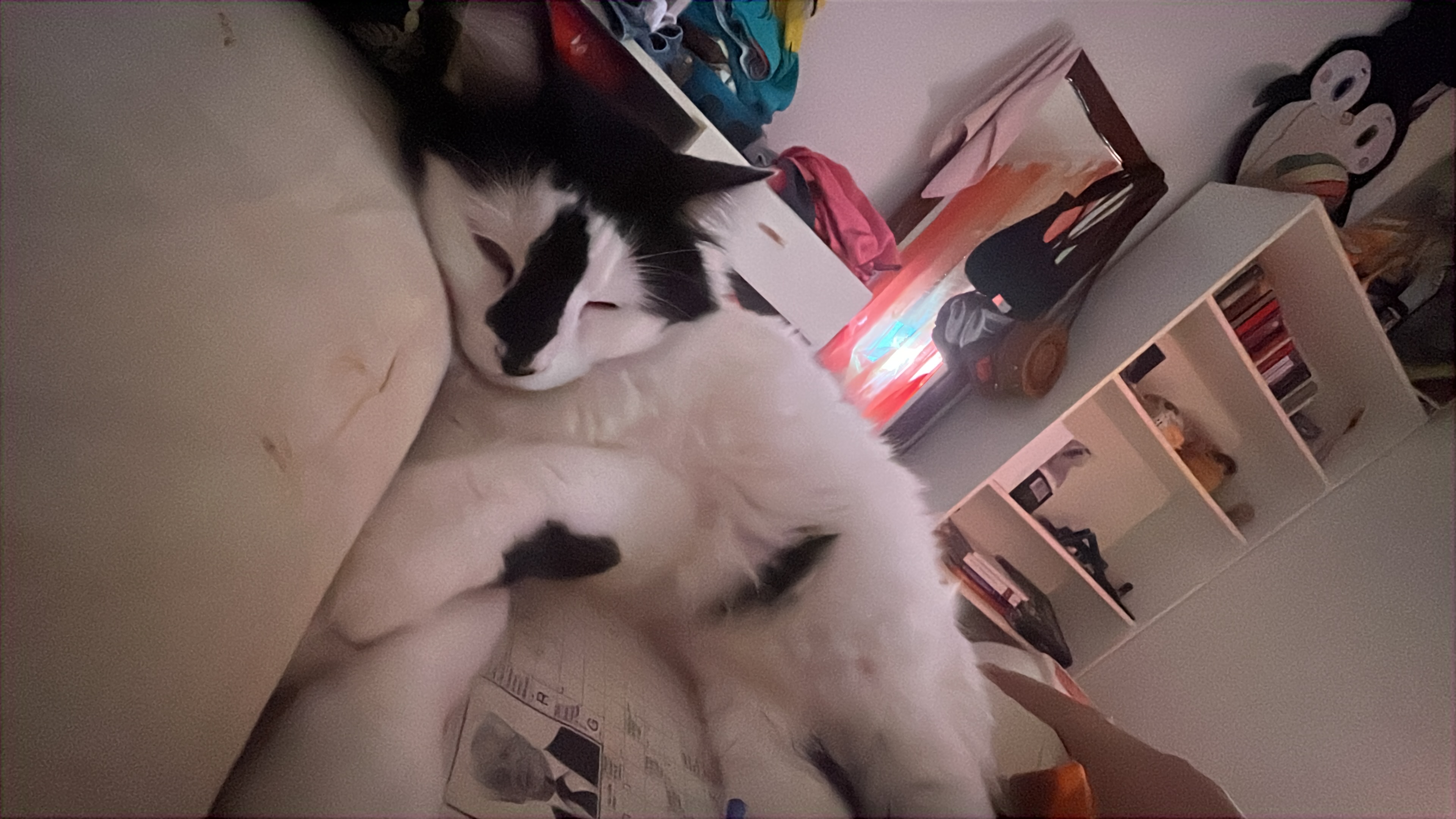image-7