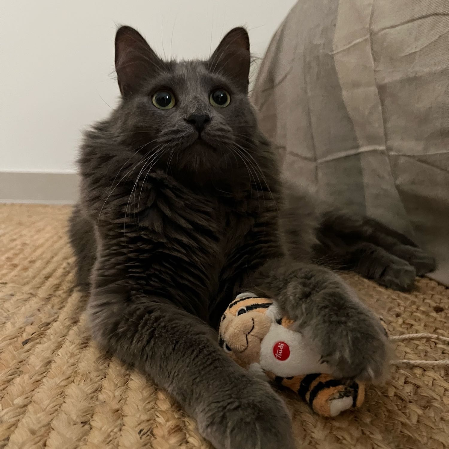 Leo