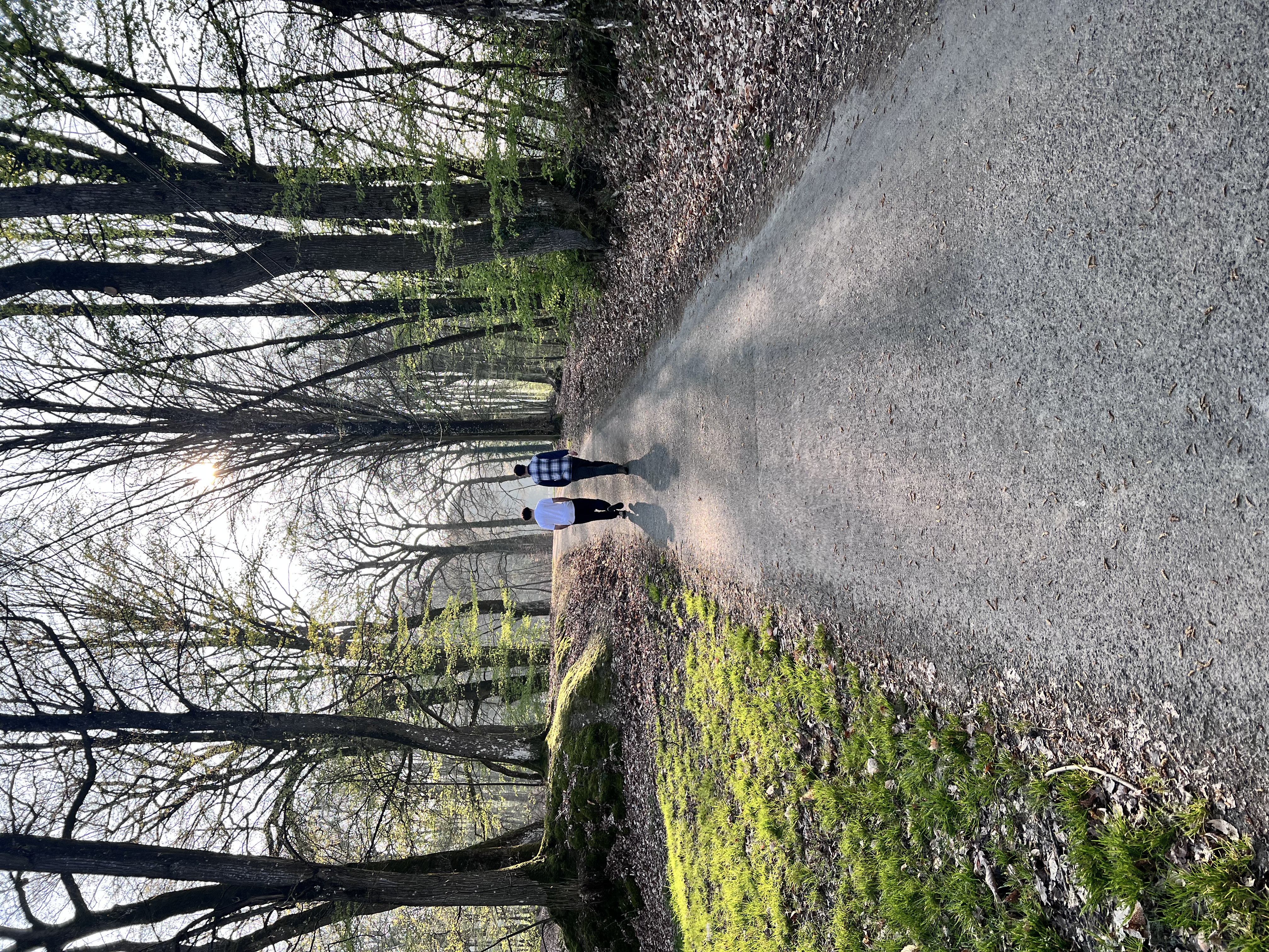 image-16