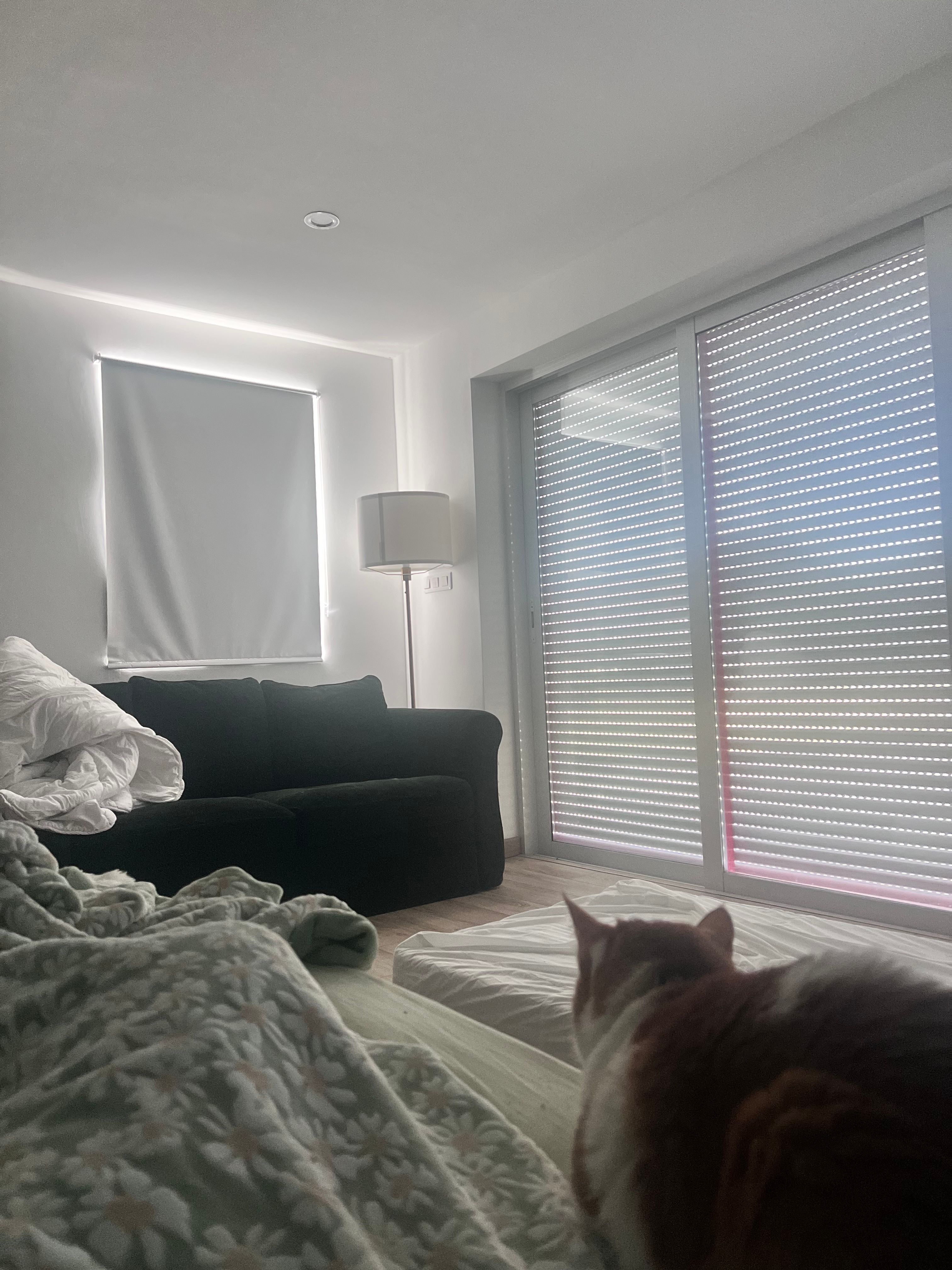 image-14