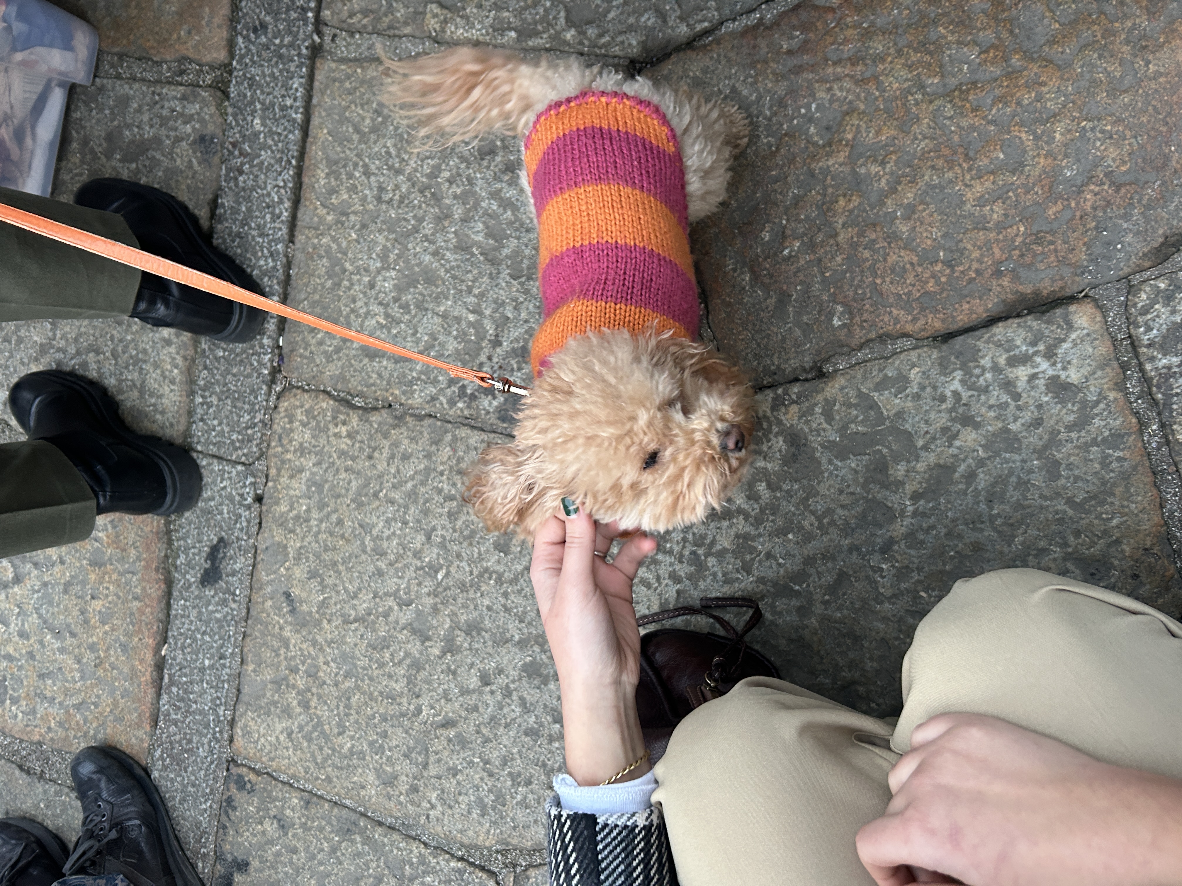 image-10