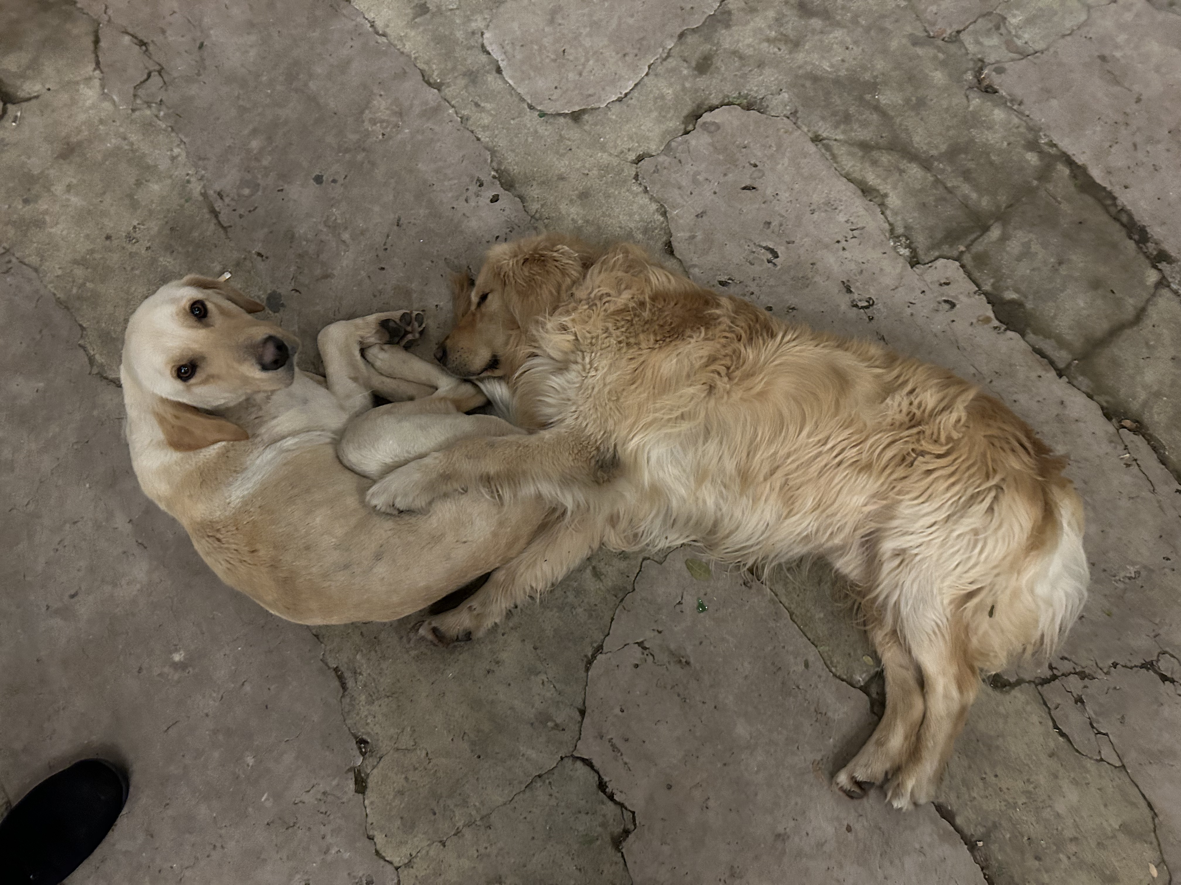 image-12