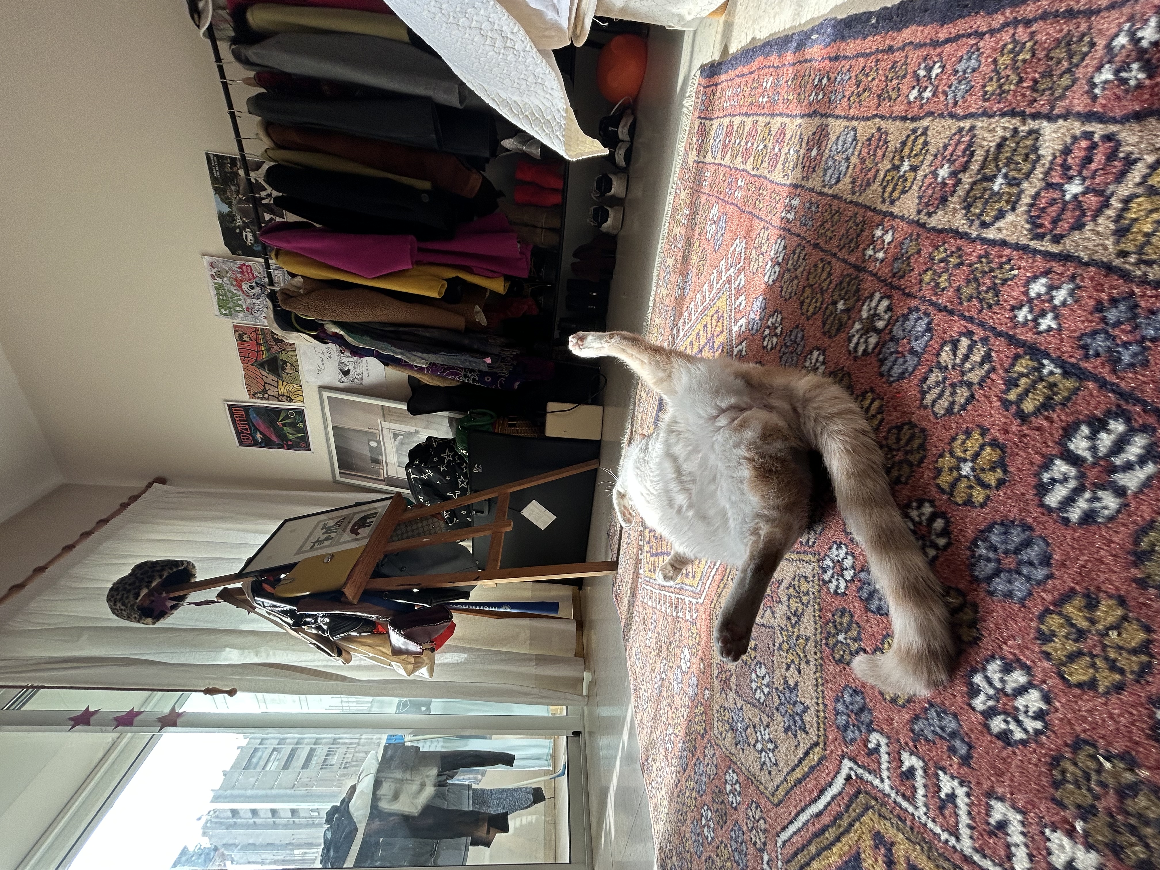 image-5