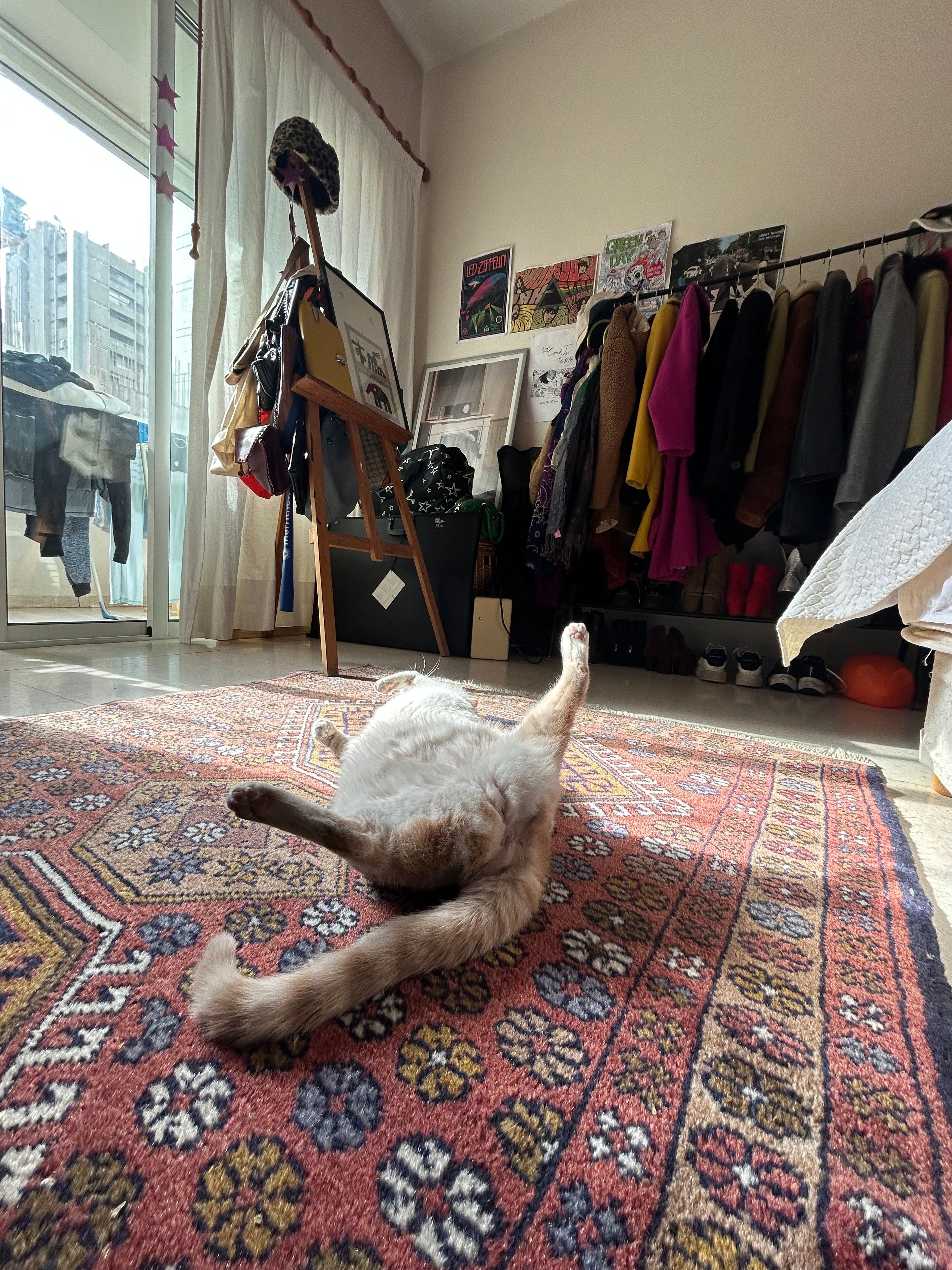 image-5