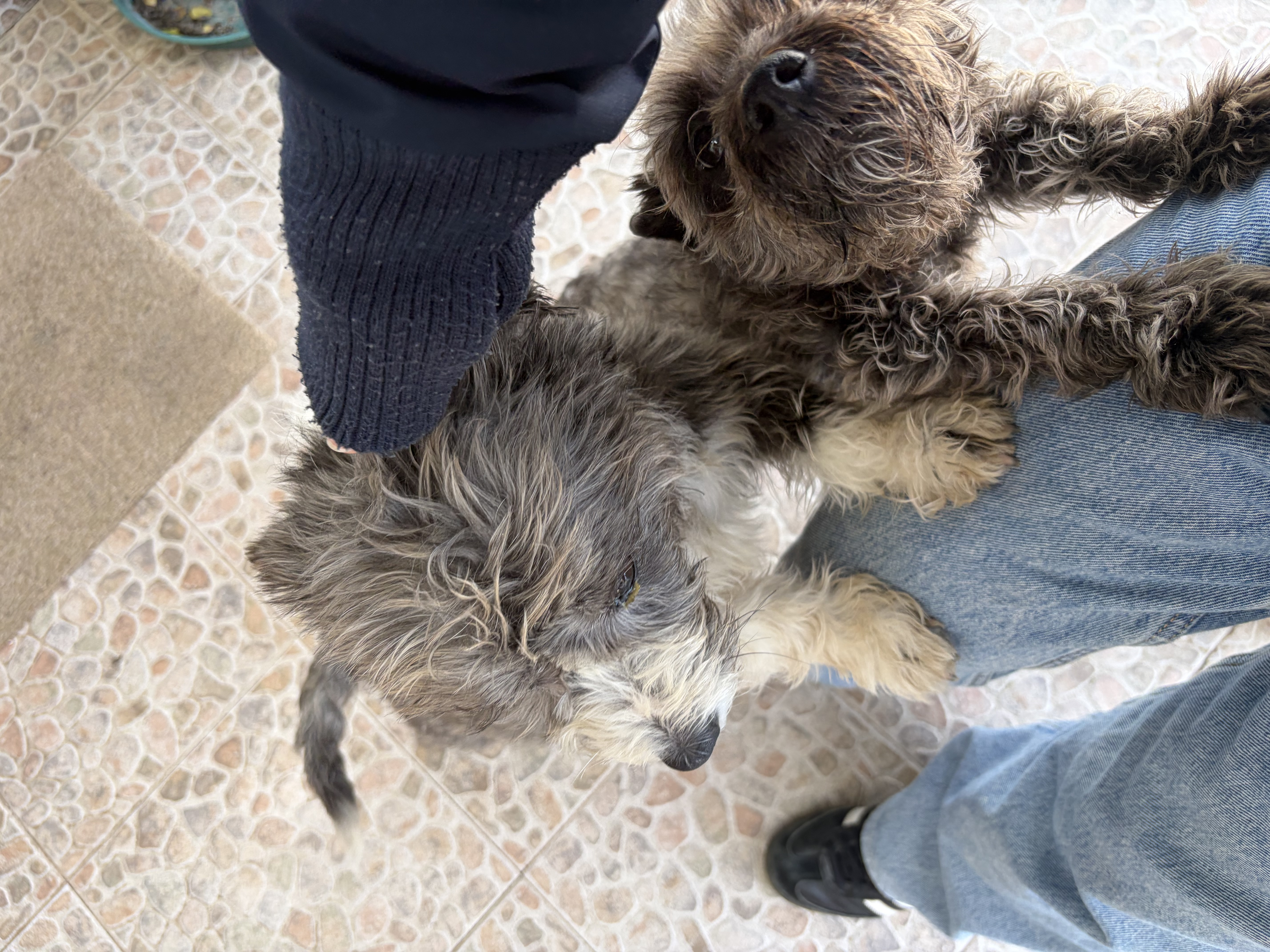 image-7