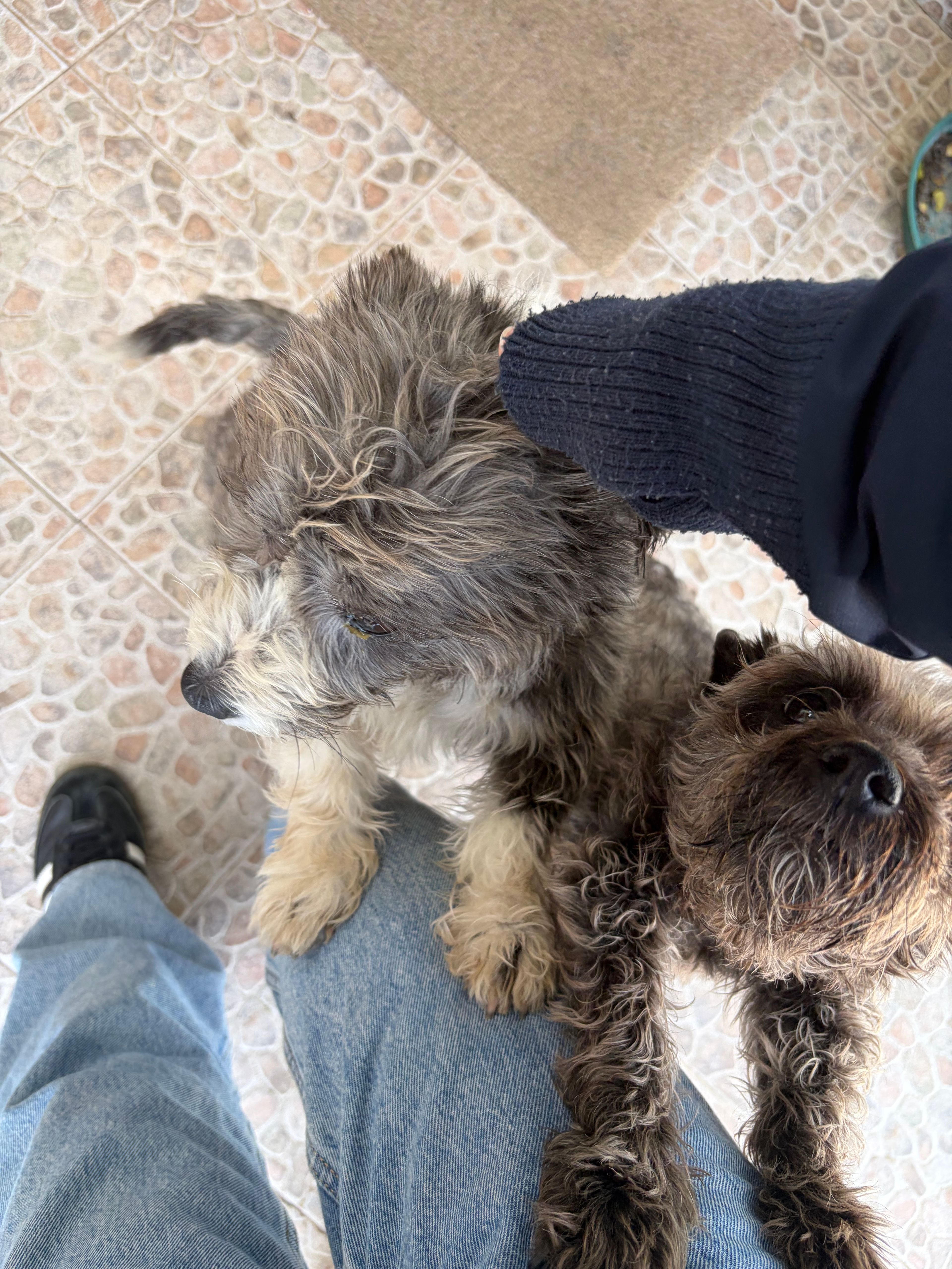 image-7