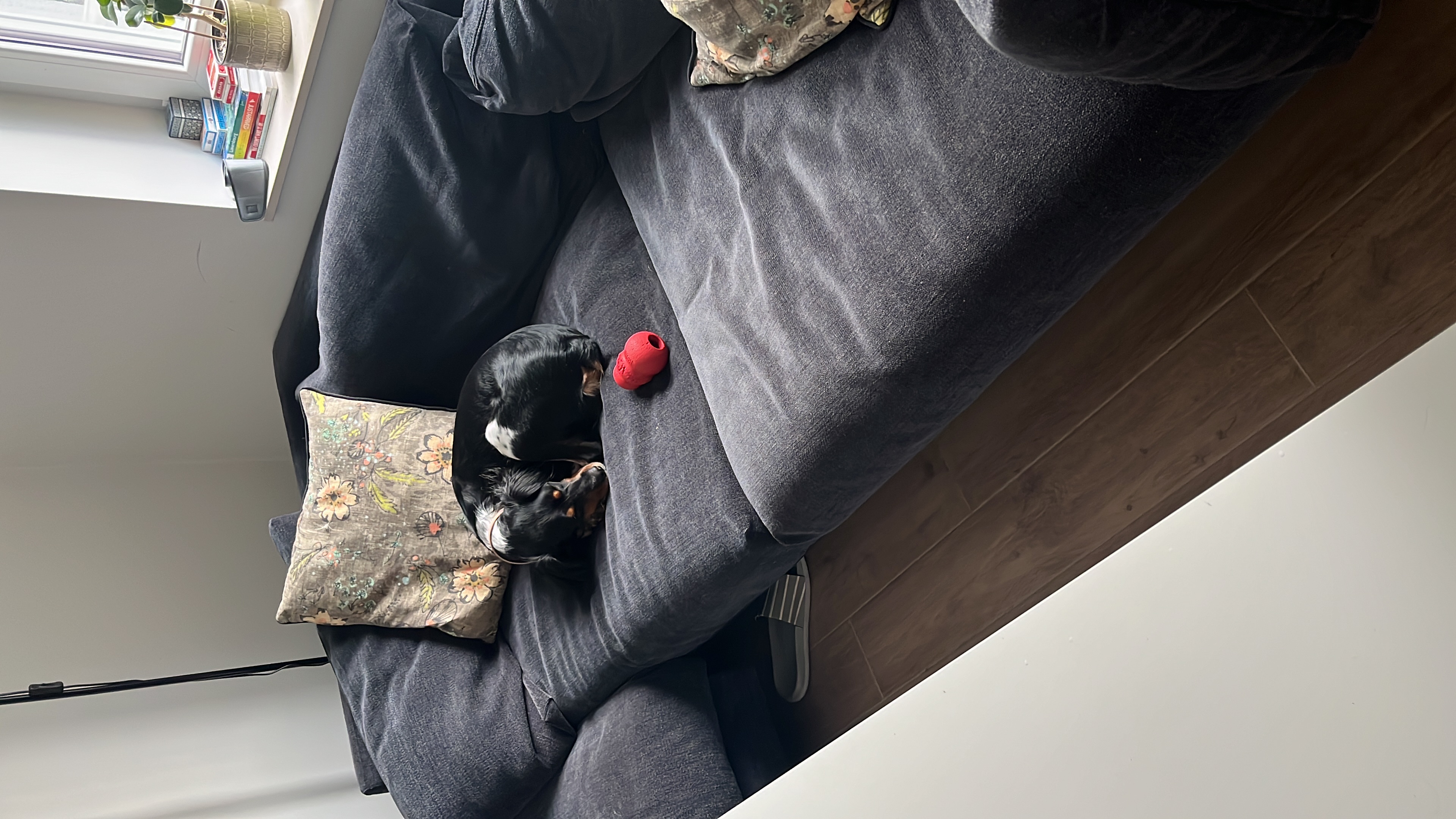 image-8