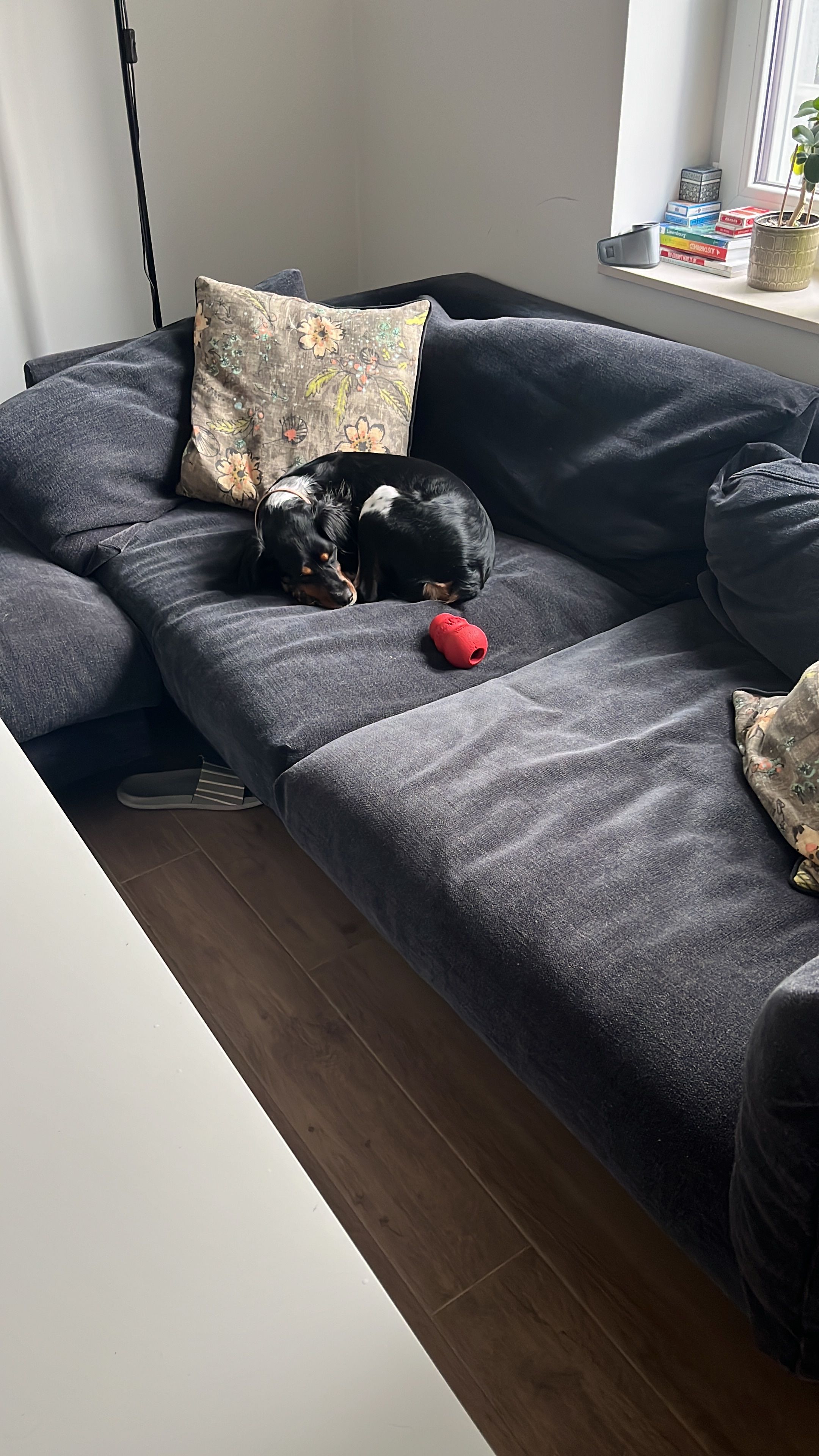 image-8