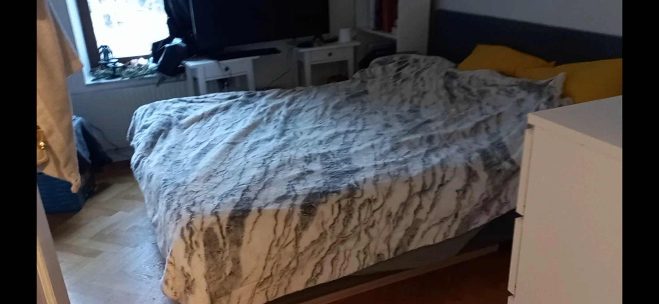 image-7
