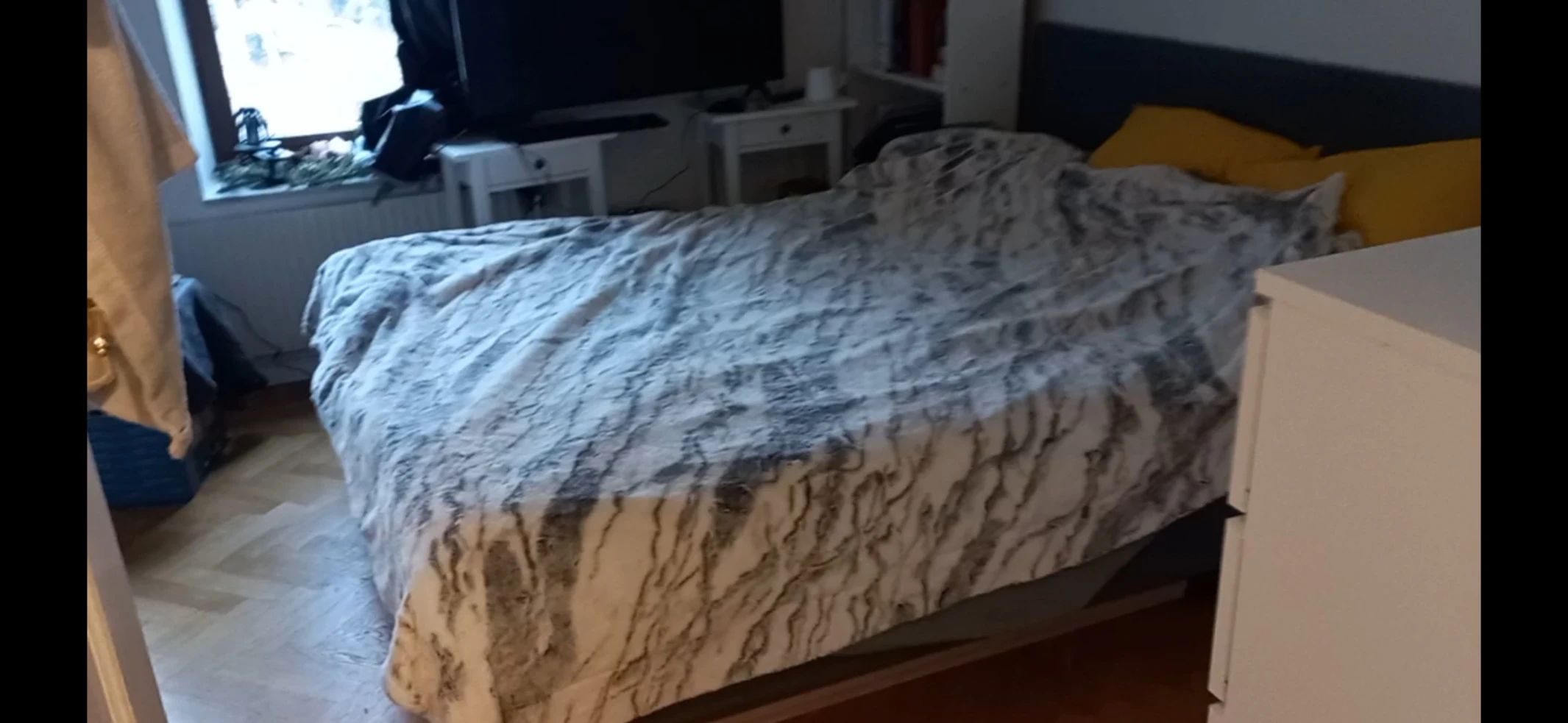 image-7