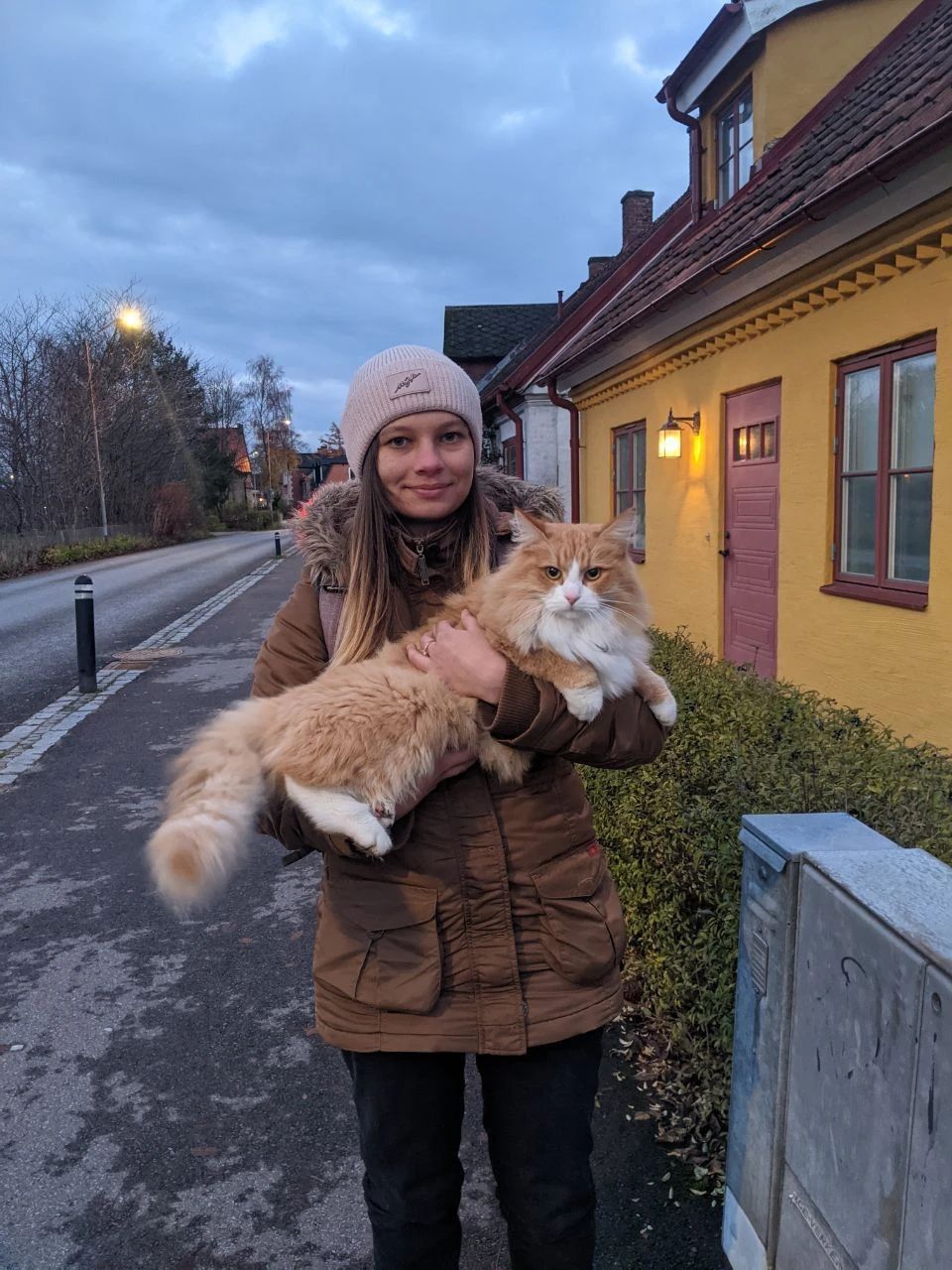 image-1