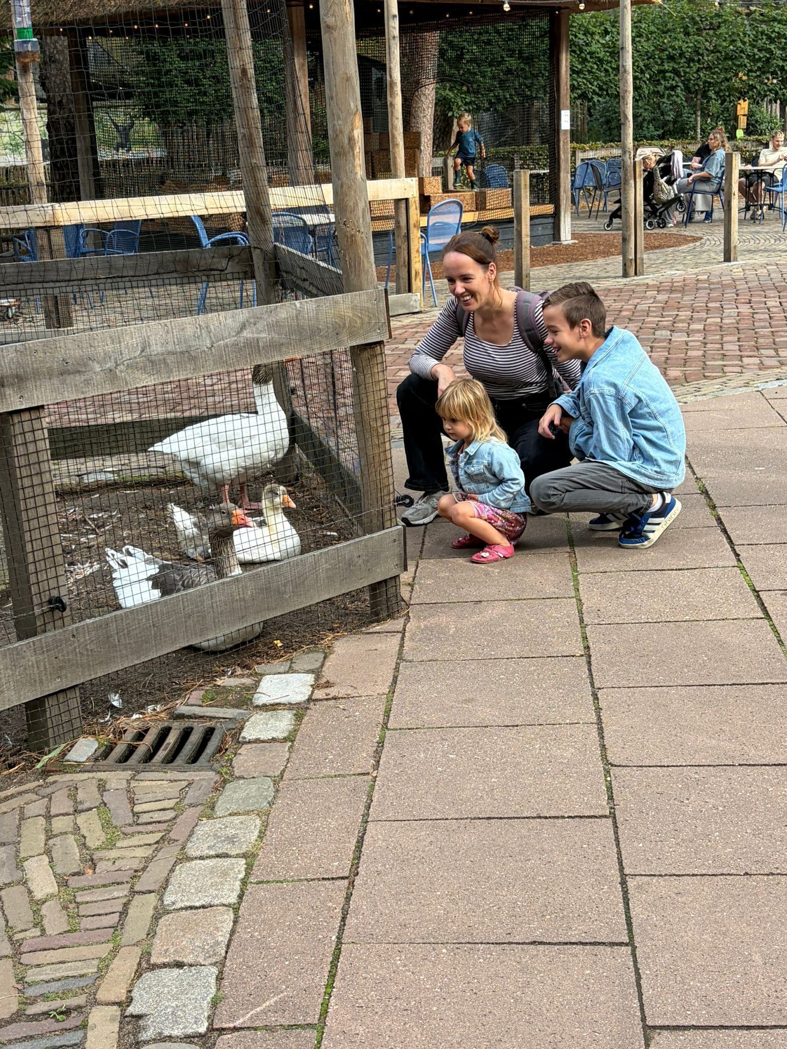 image-5