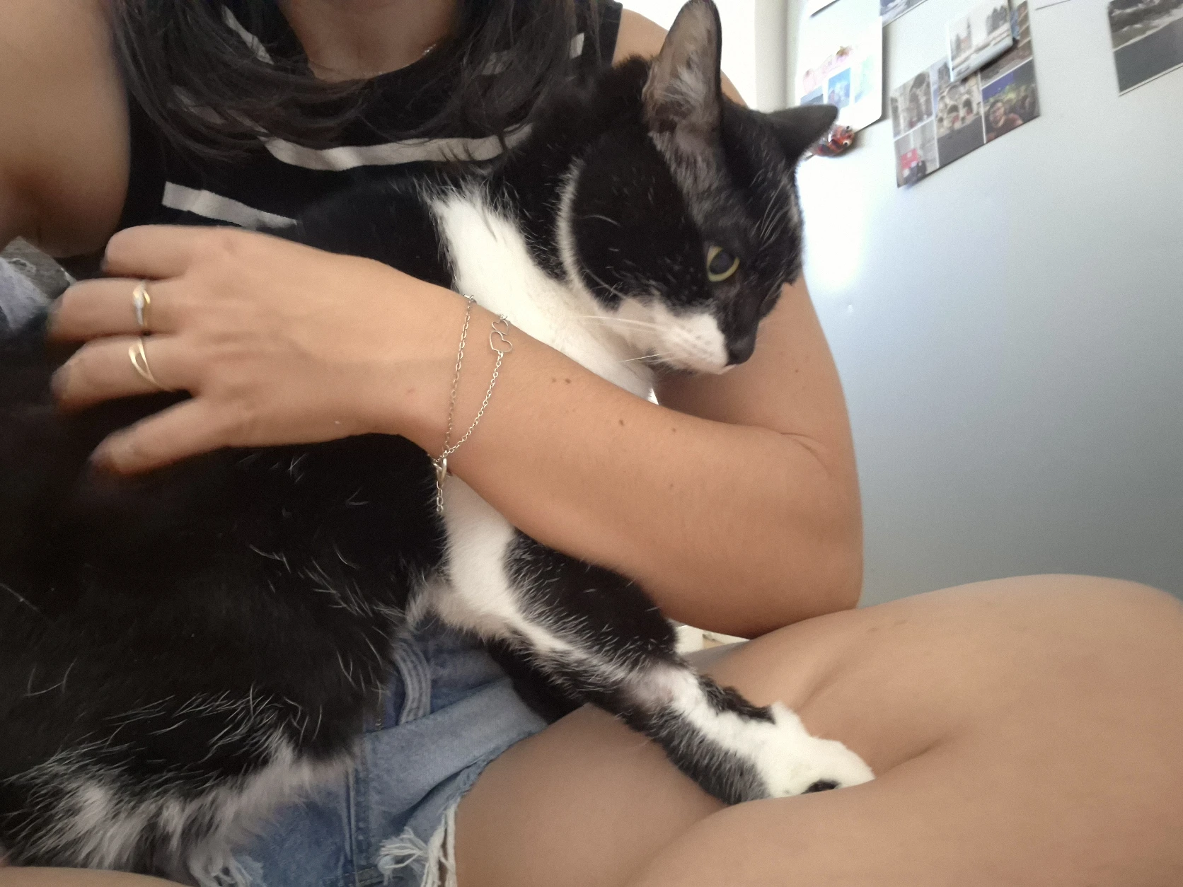 image-7