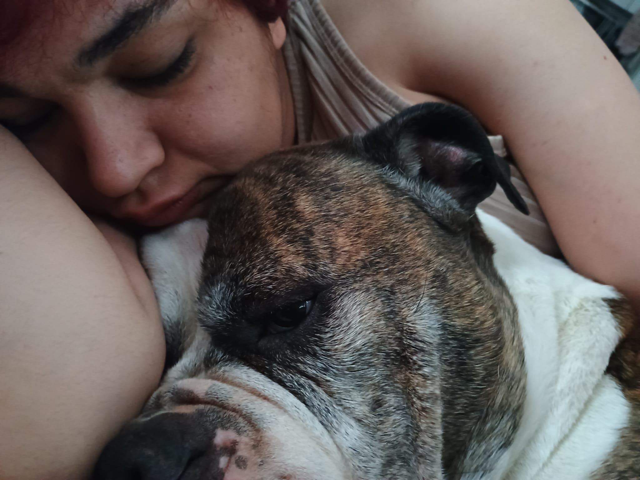 image-7