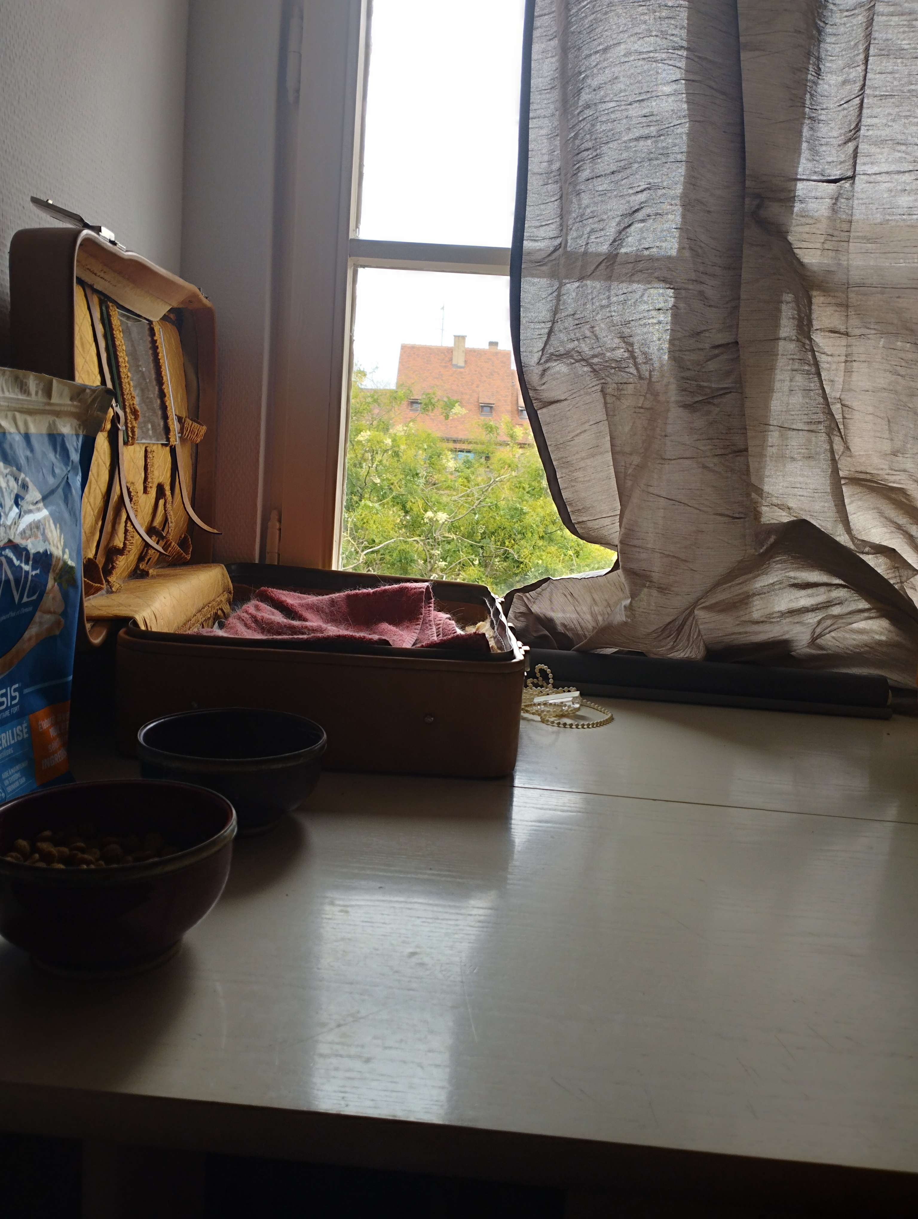 image-15