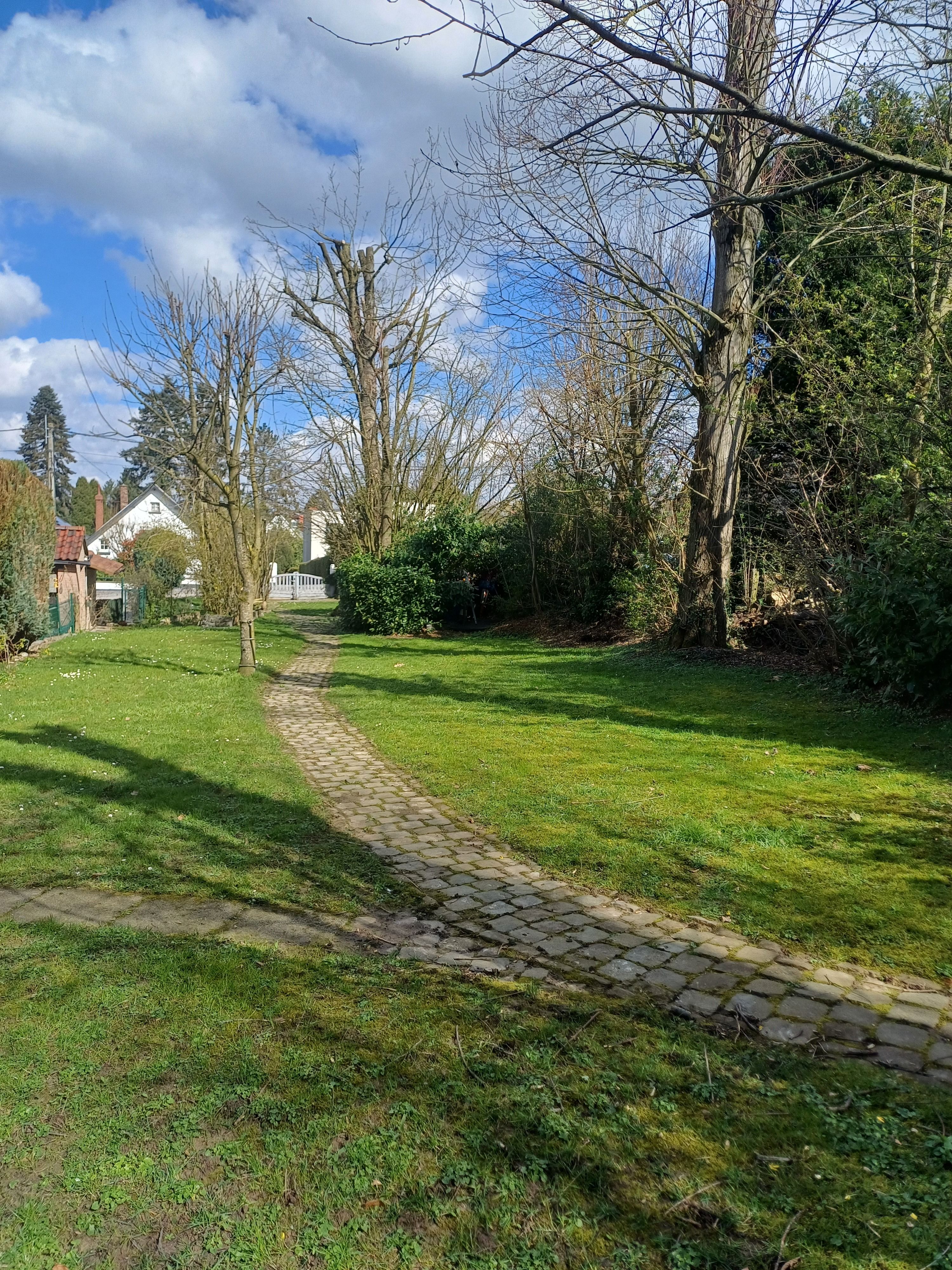 image-20