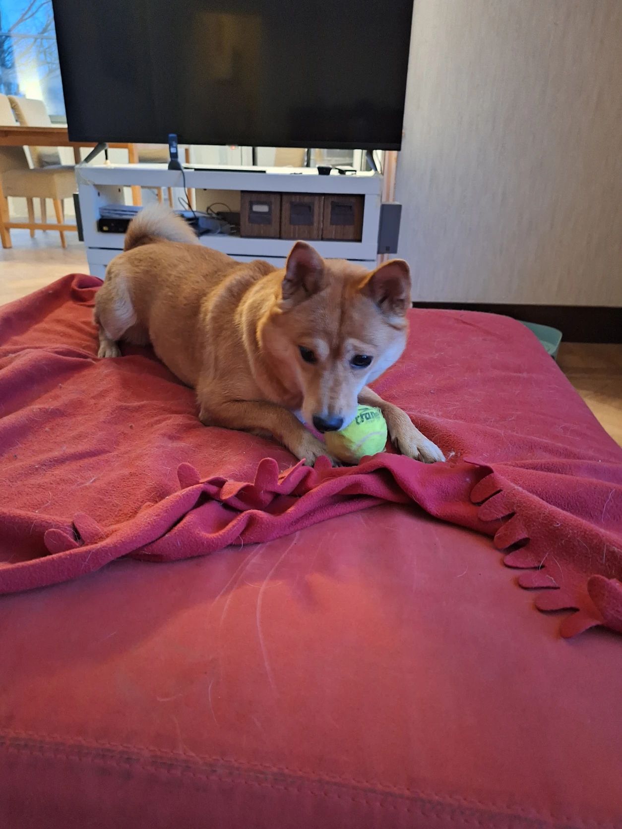image-6