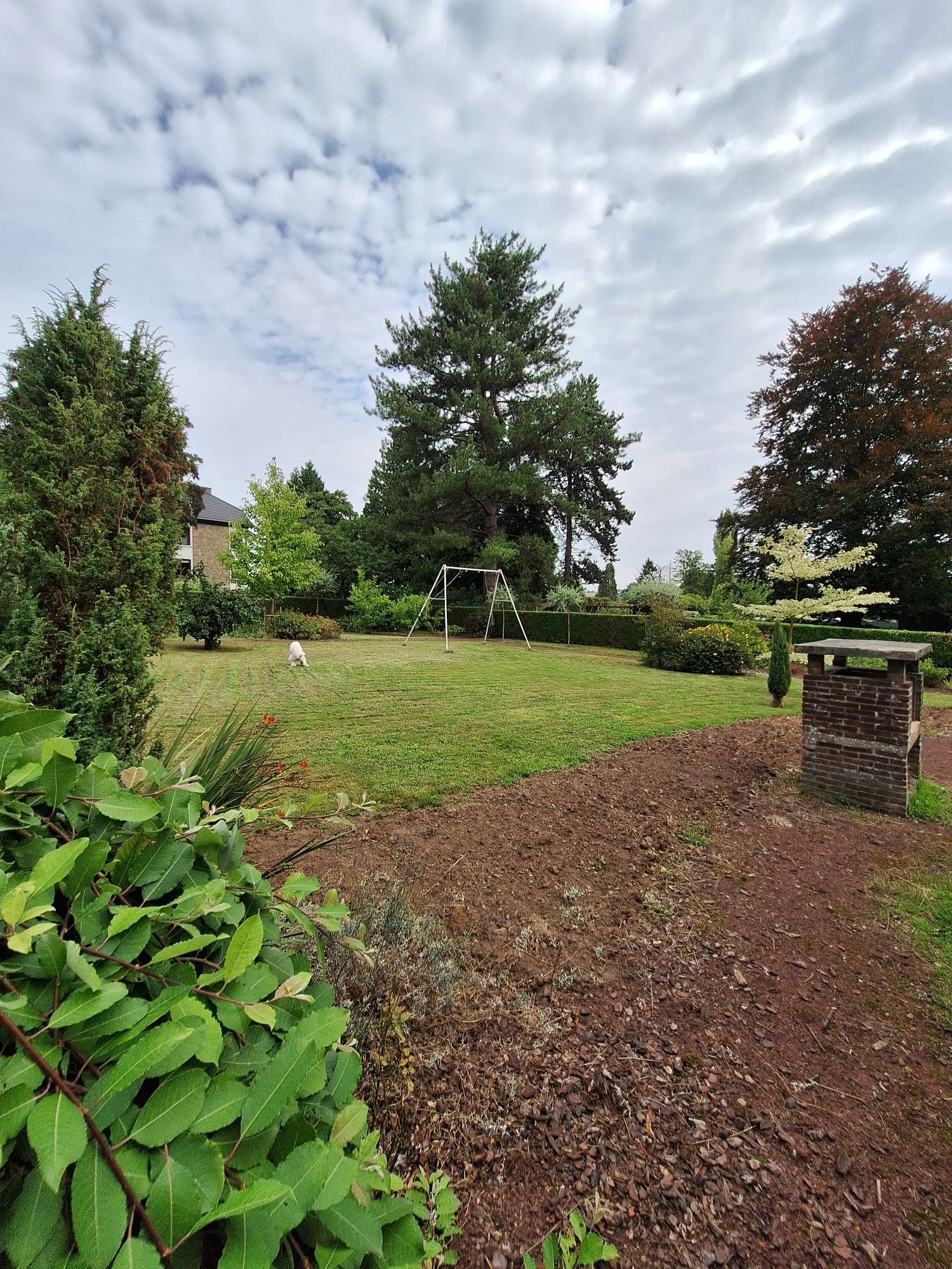 image-16
