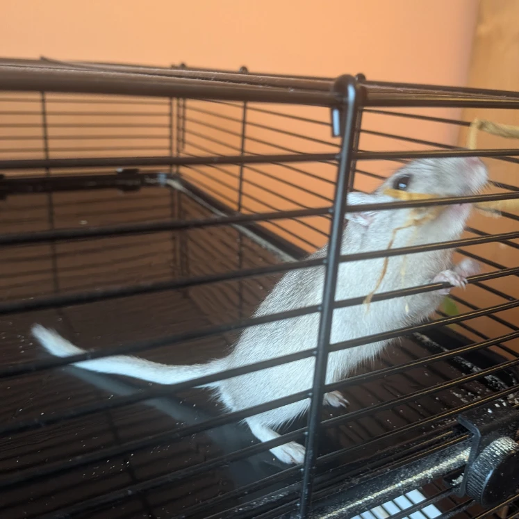 Jean Valjean