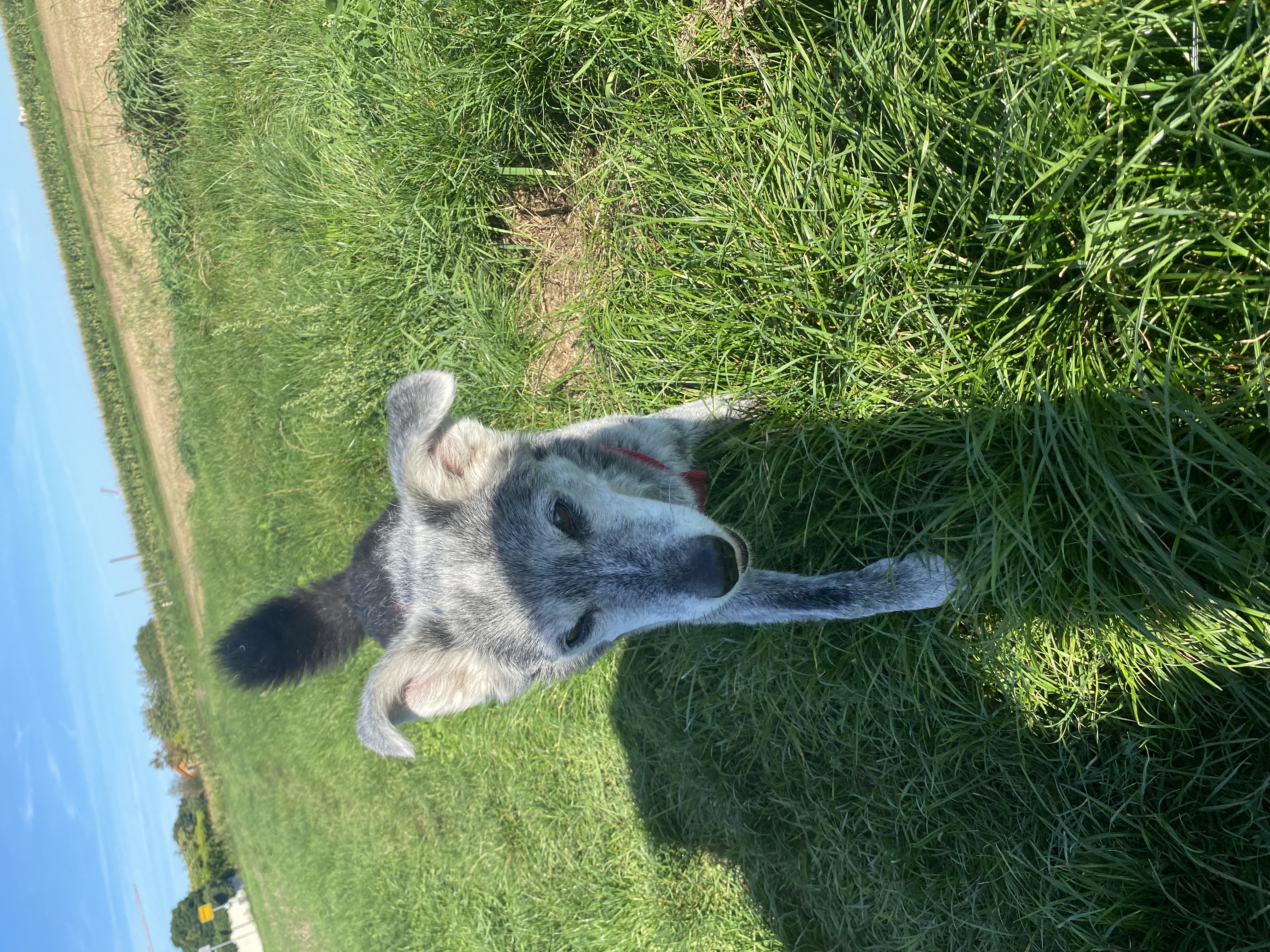 image-10