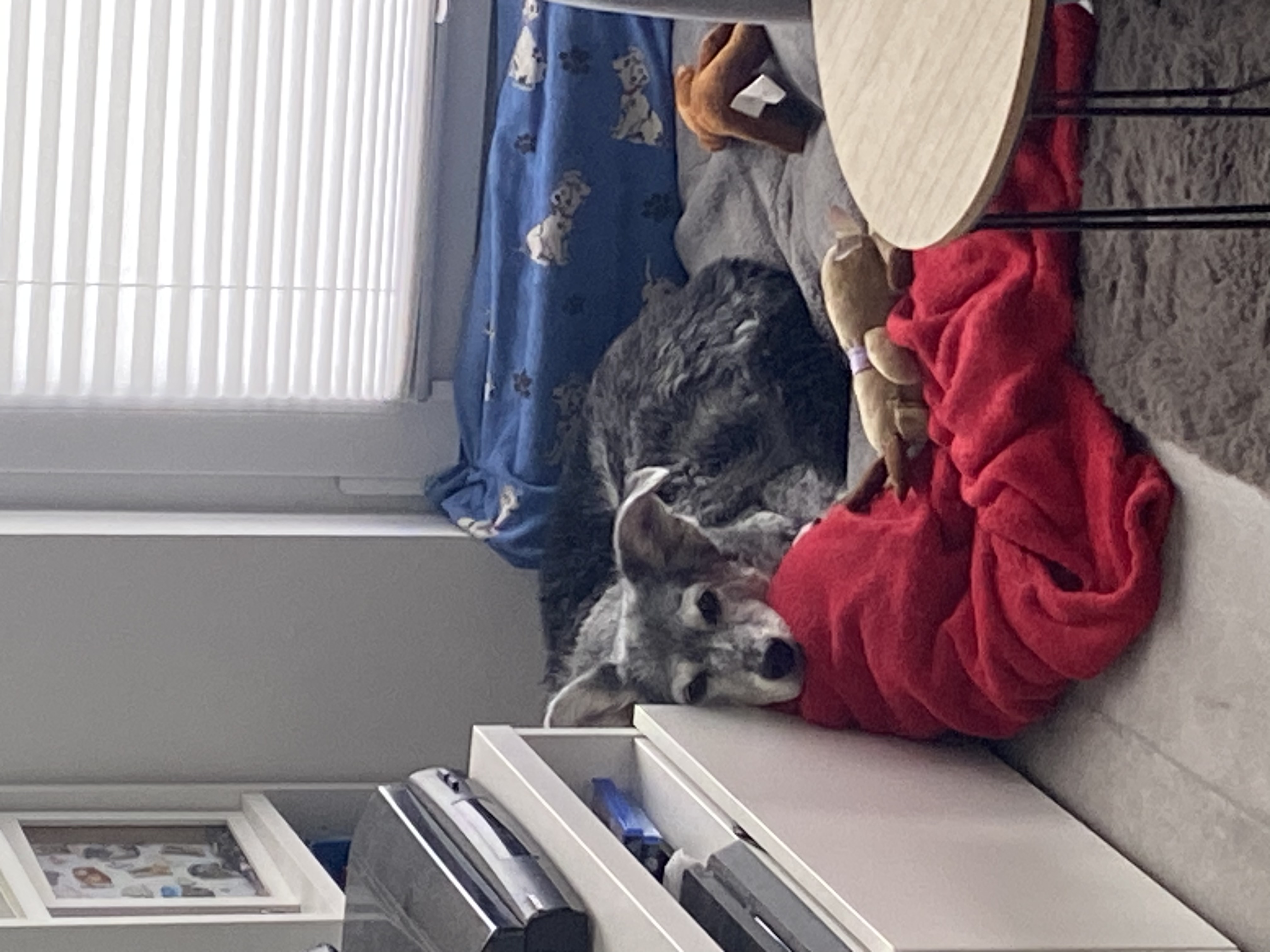 image-11