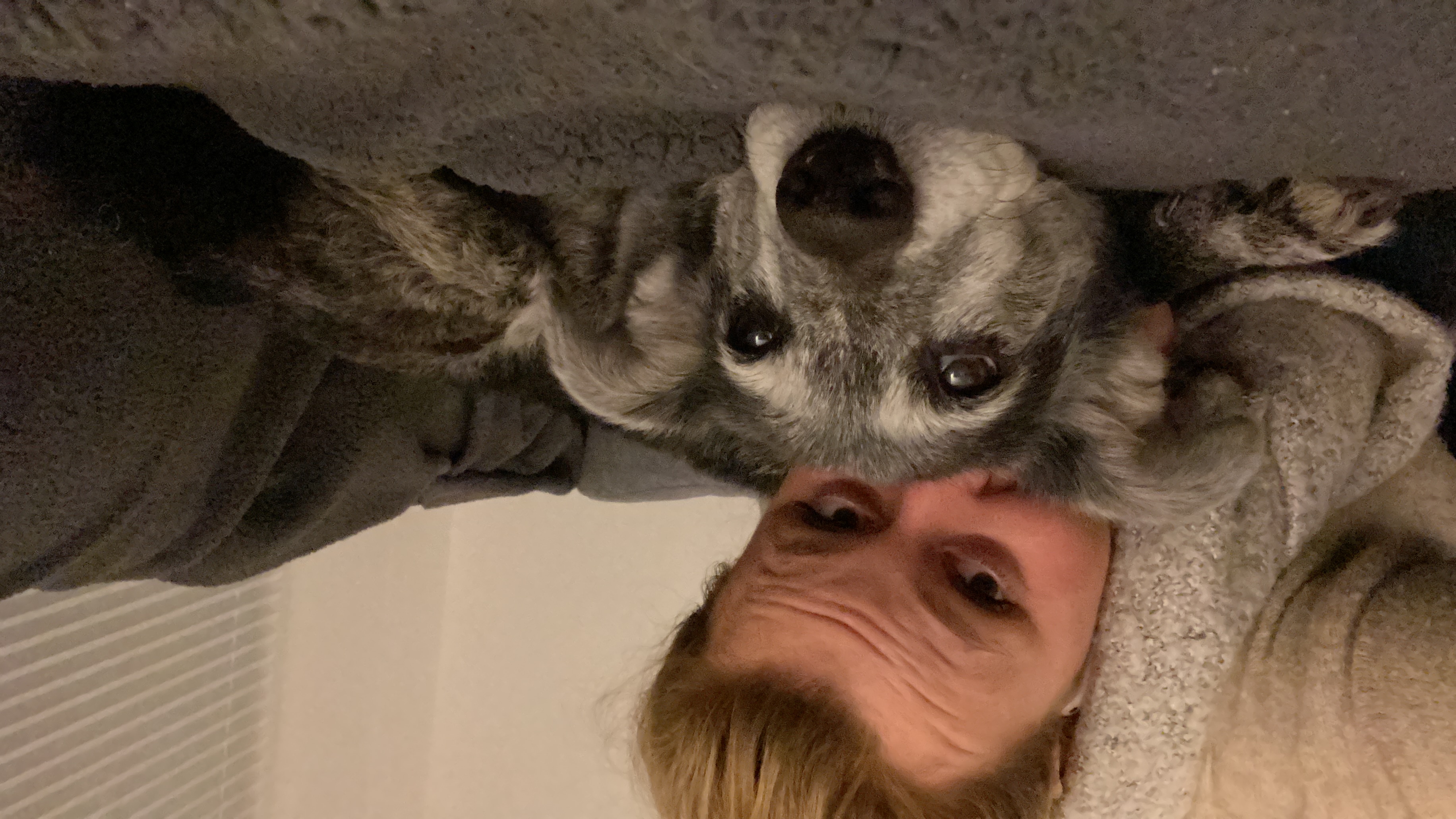 image-1