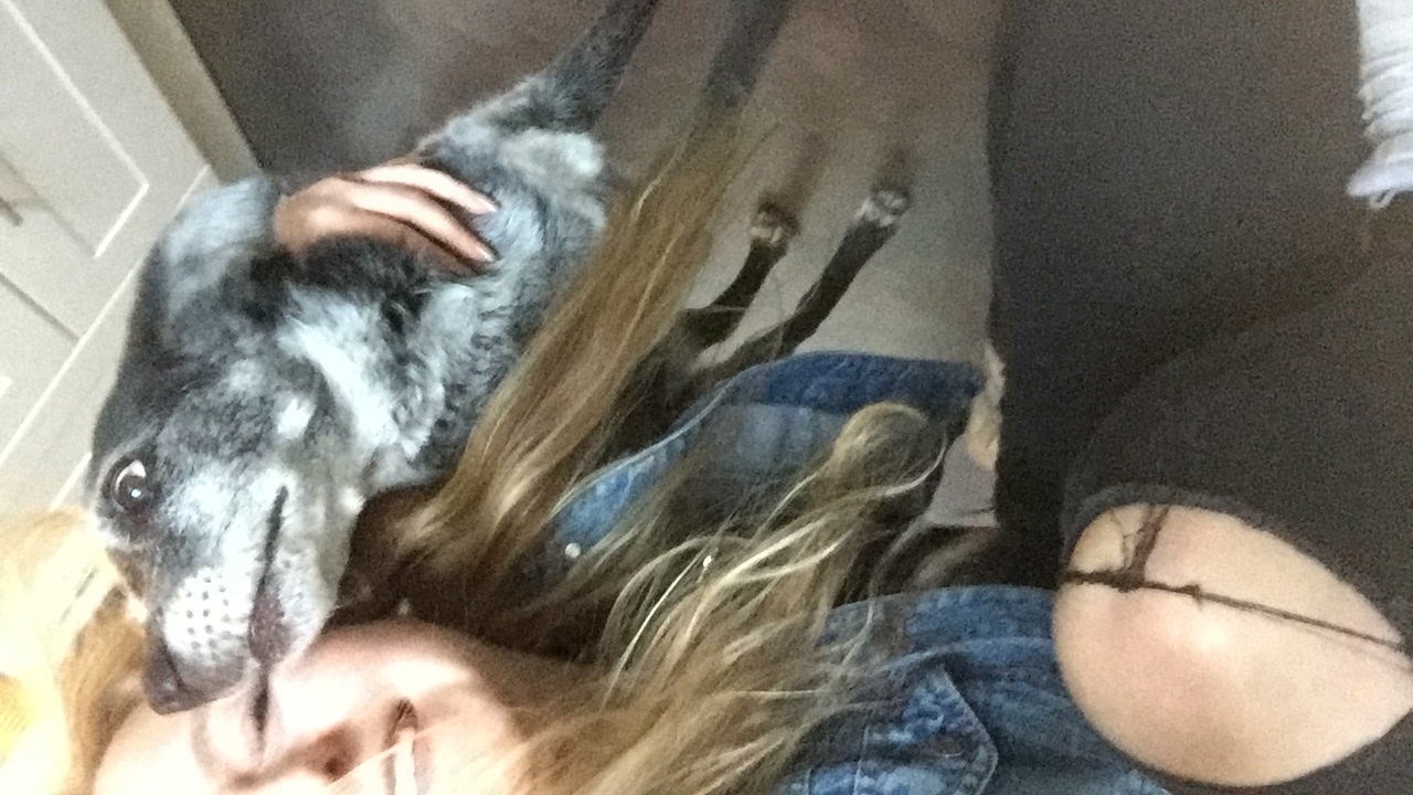 image-7