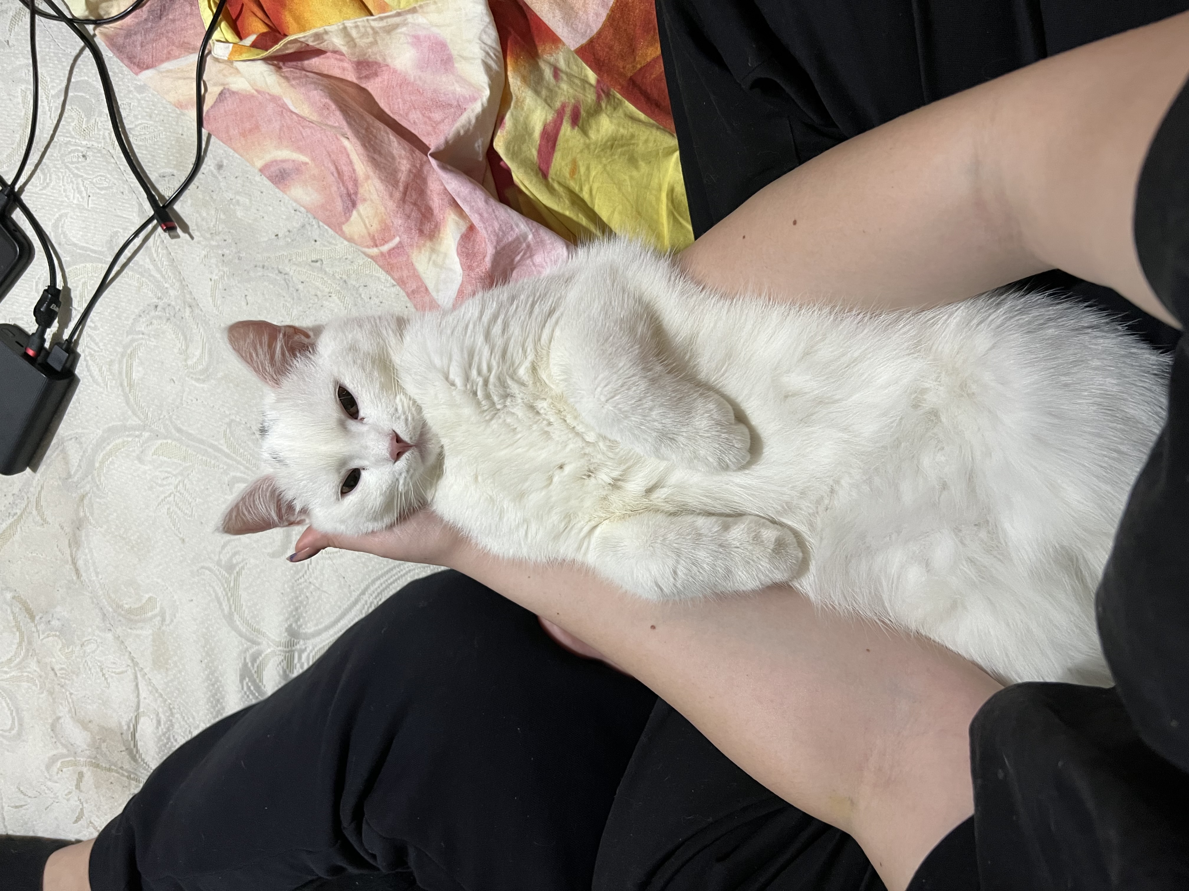 image-43