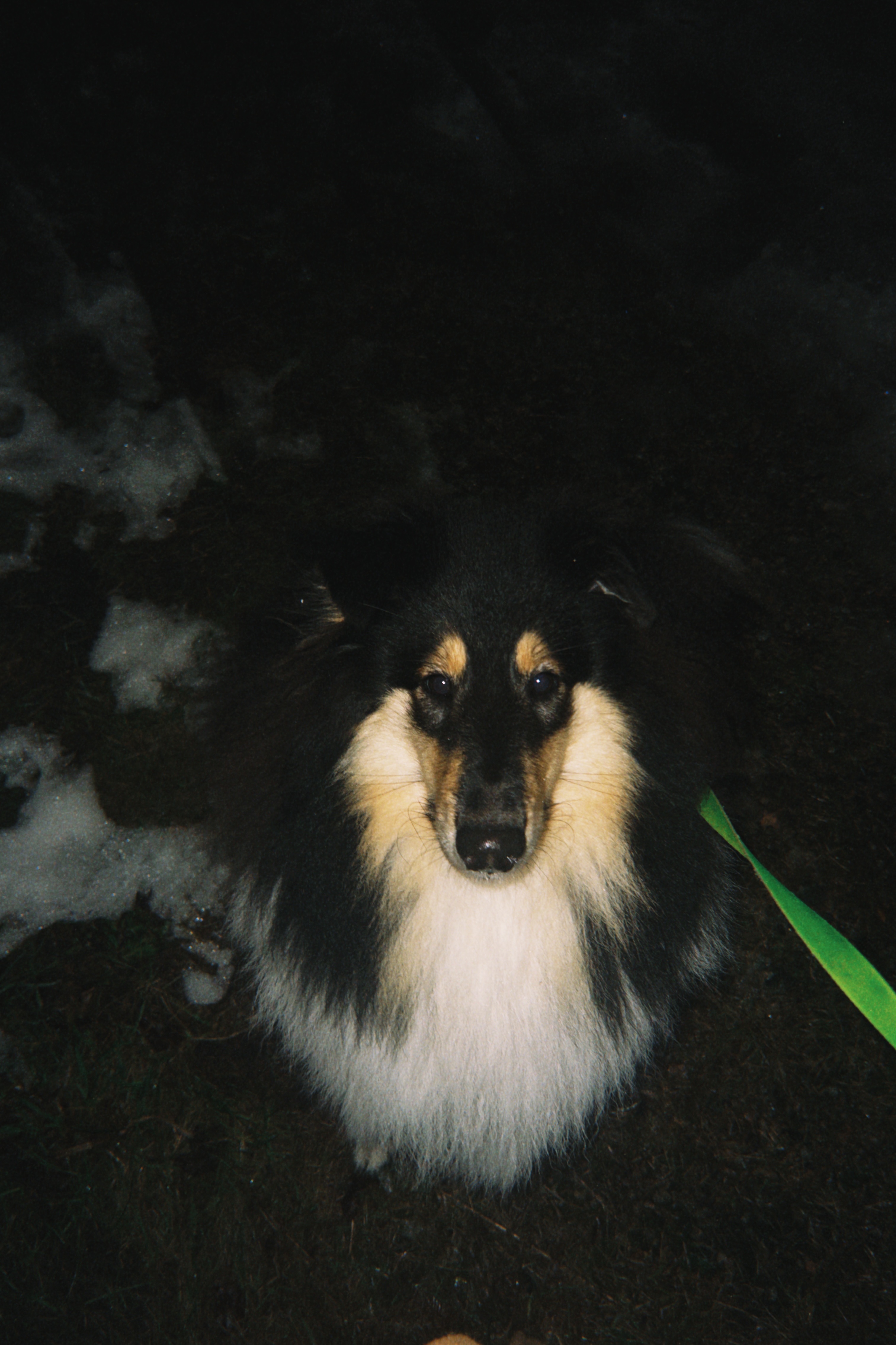 image-6