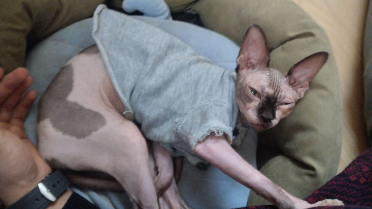 image-44