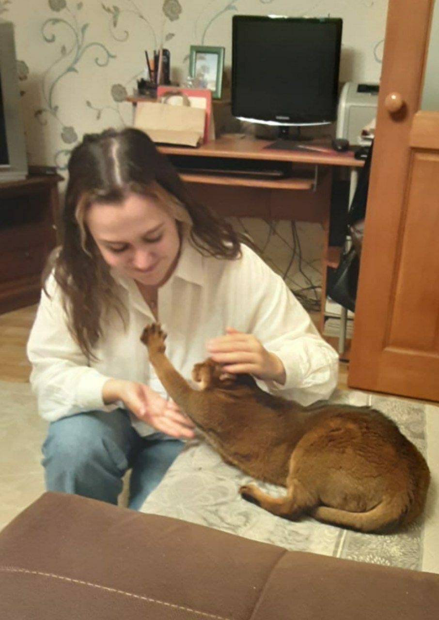 image-28