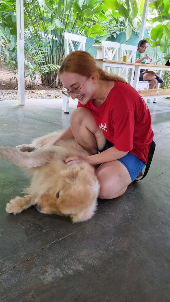 image-2