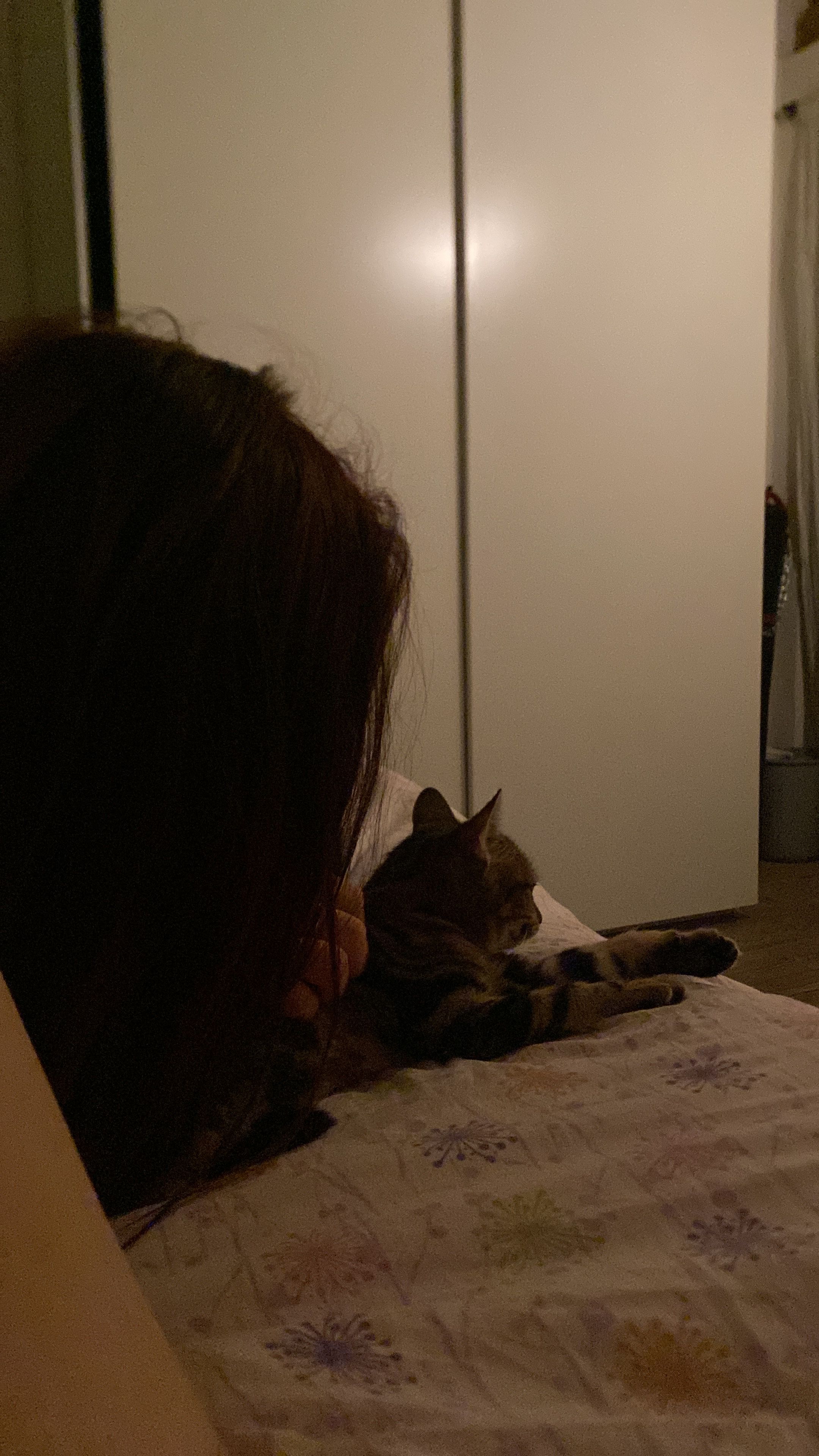 image-7