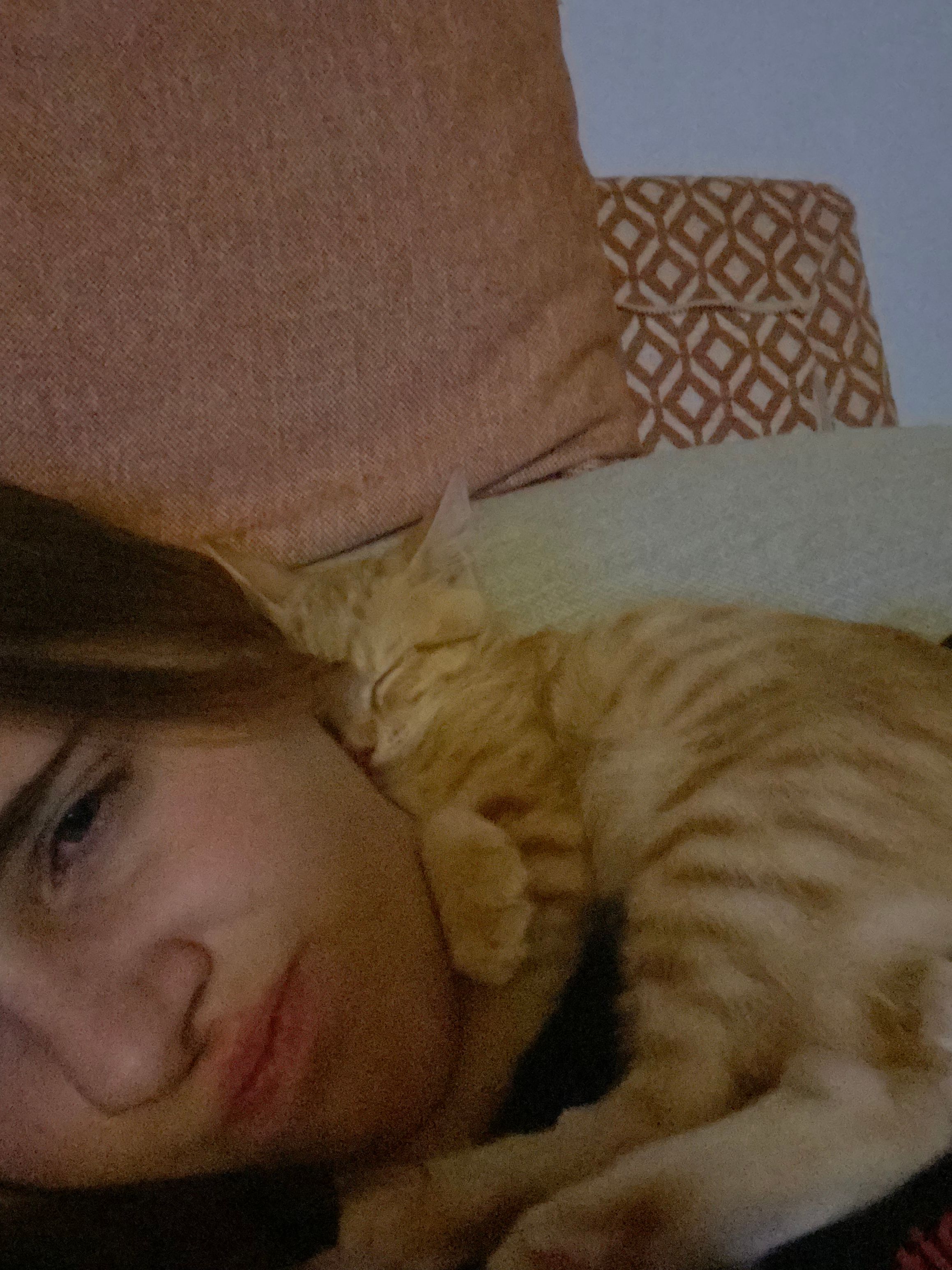 image-4