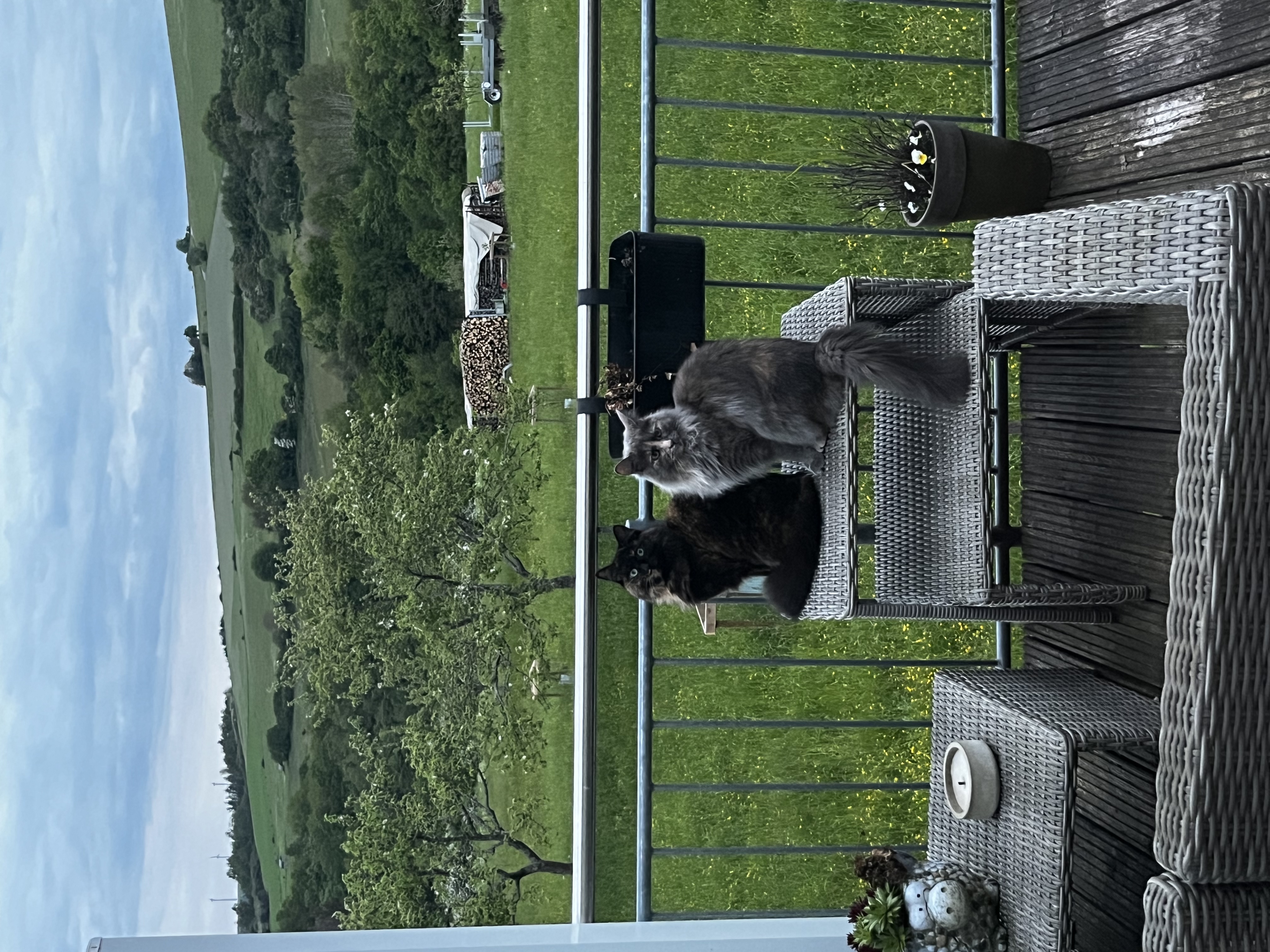 image-8
