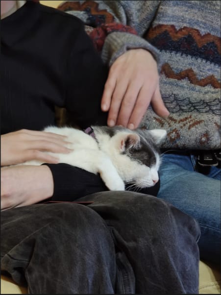 image-14