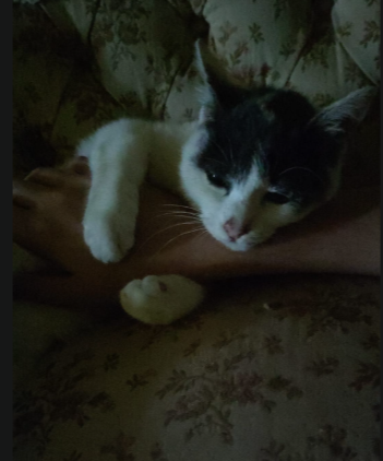 image-17
