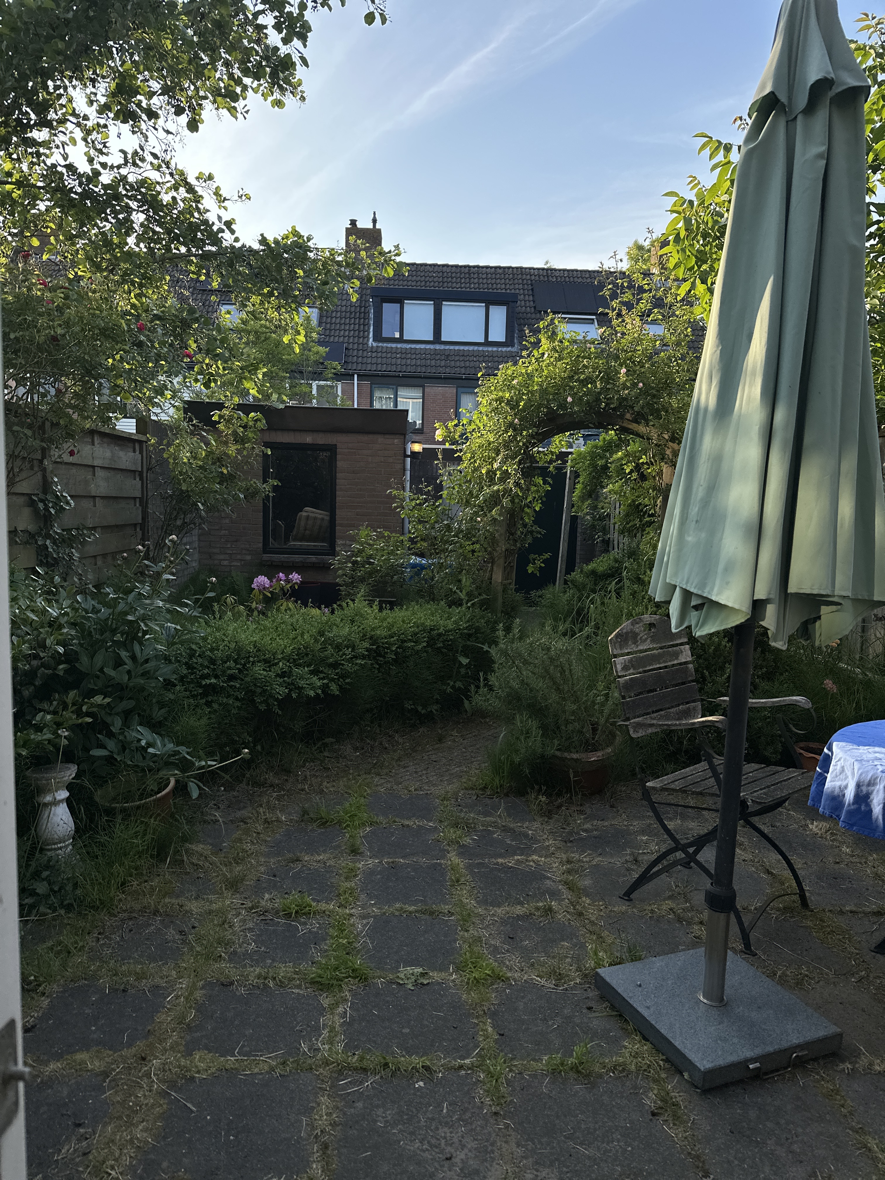 image-14