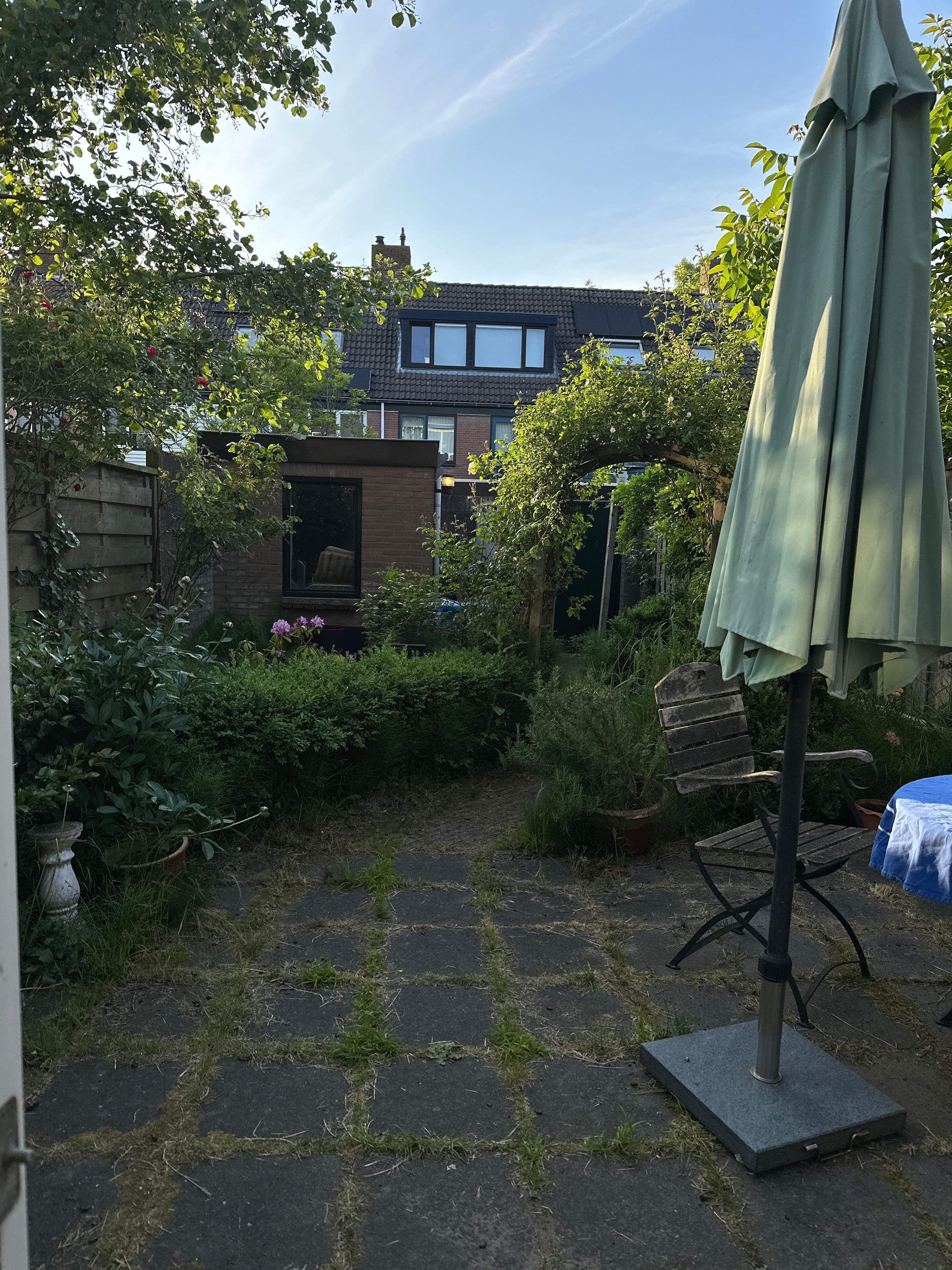 image-14