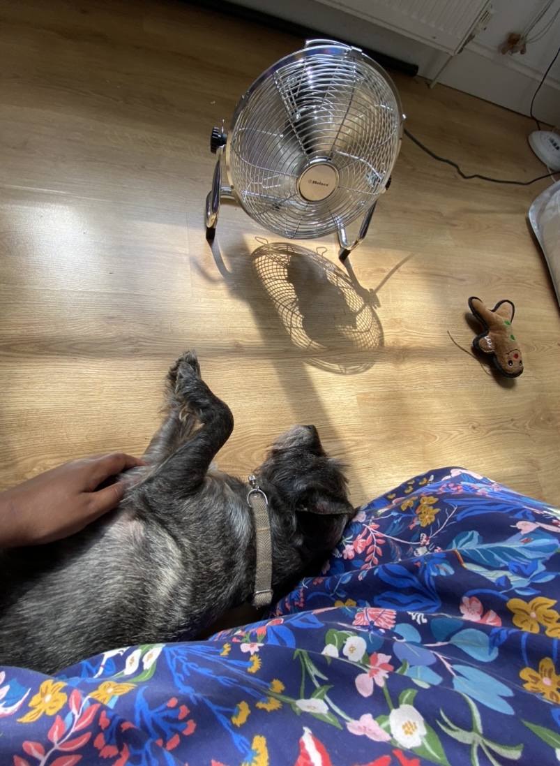image-6