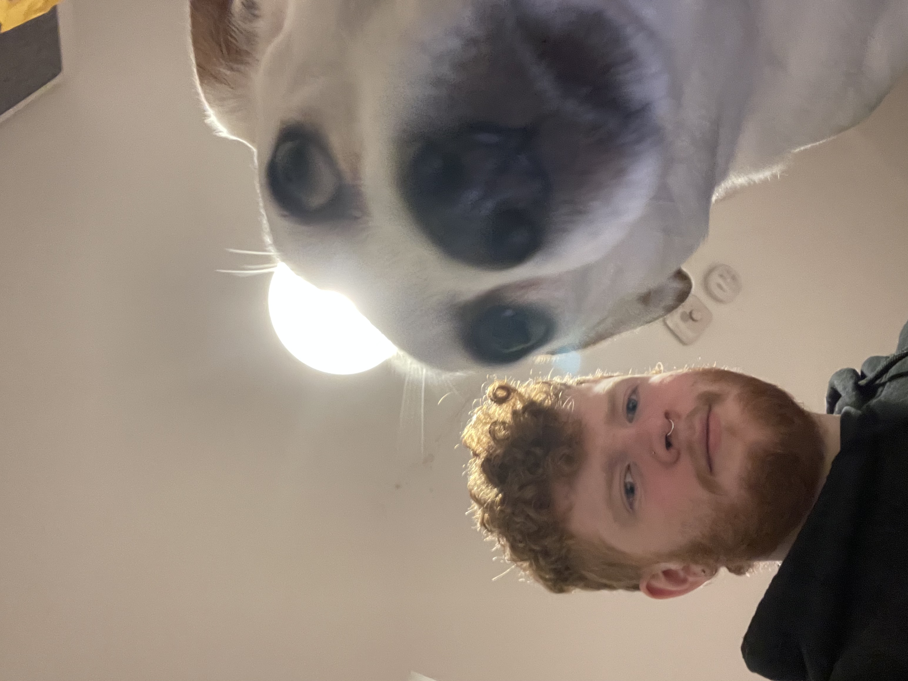 image-7