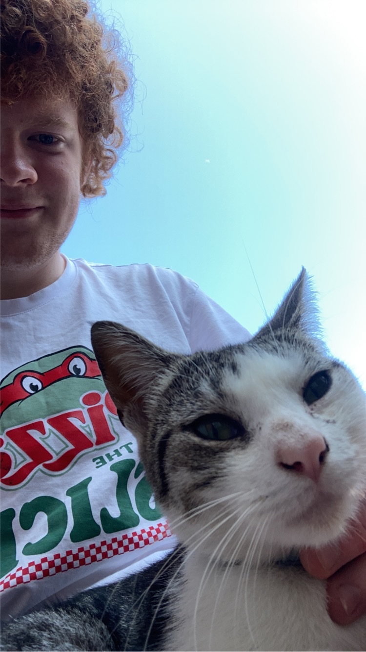 image-11