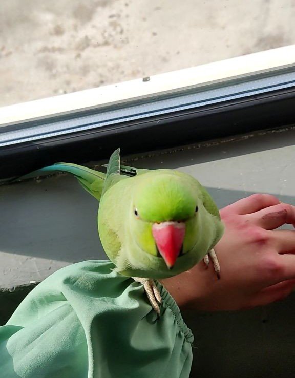 image-8