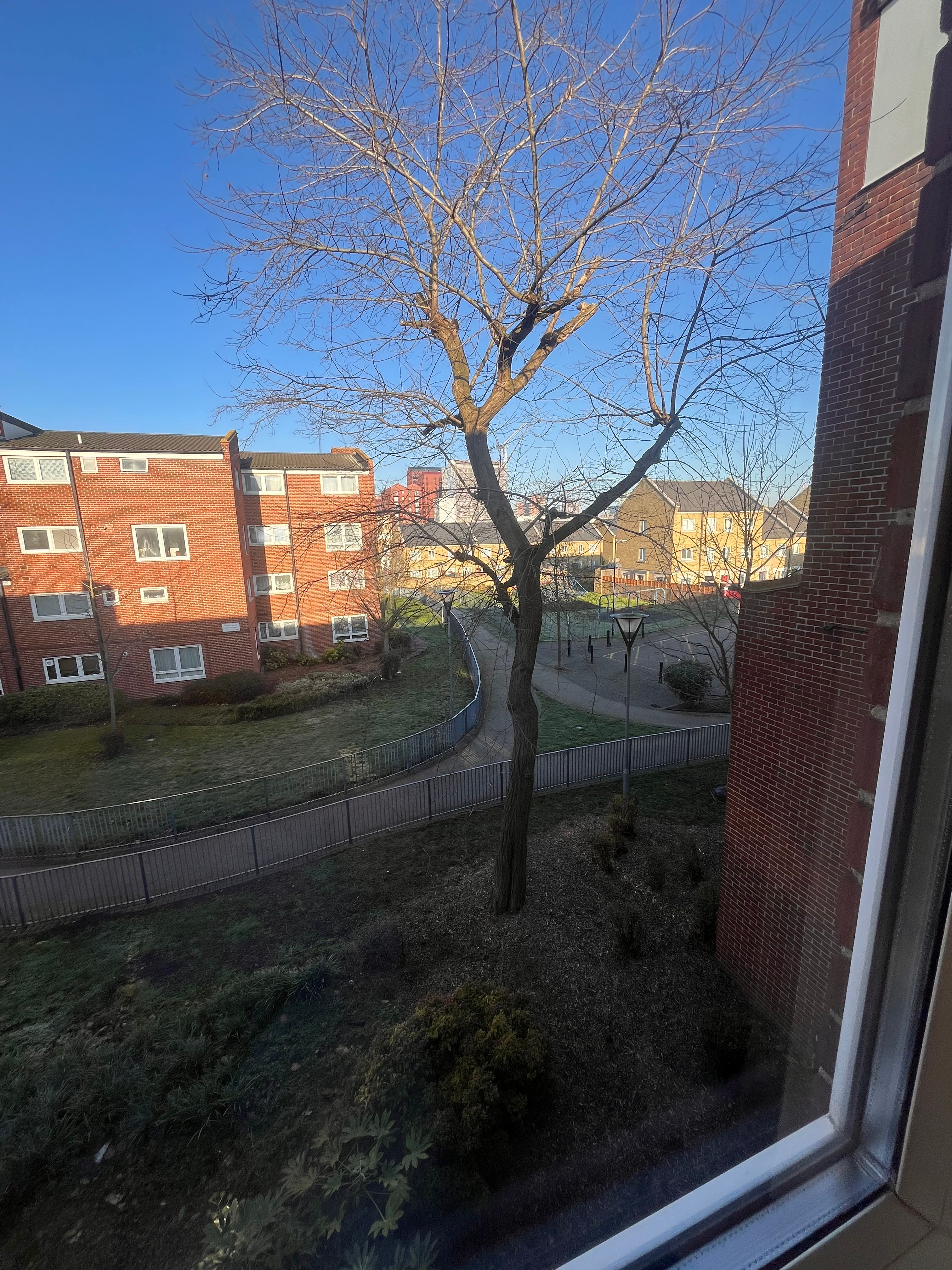 image-14