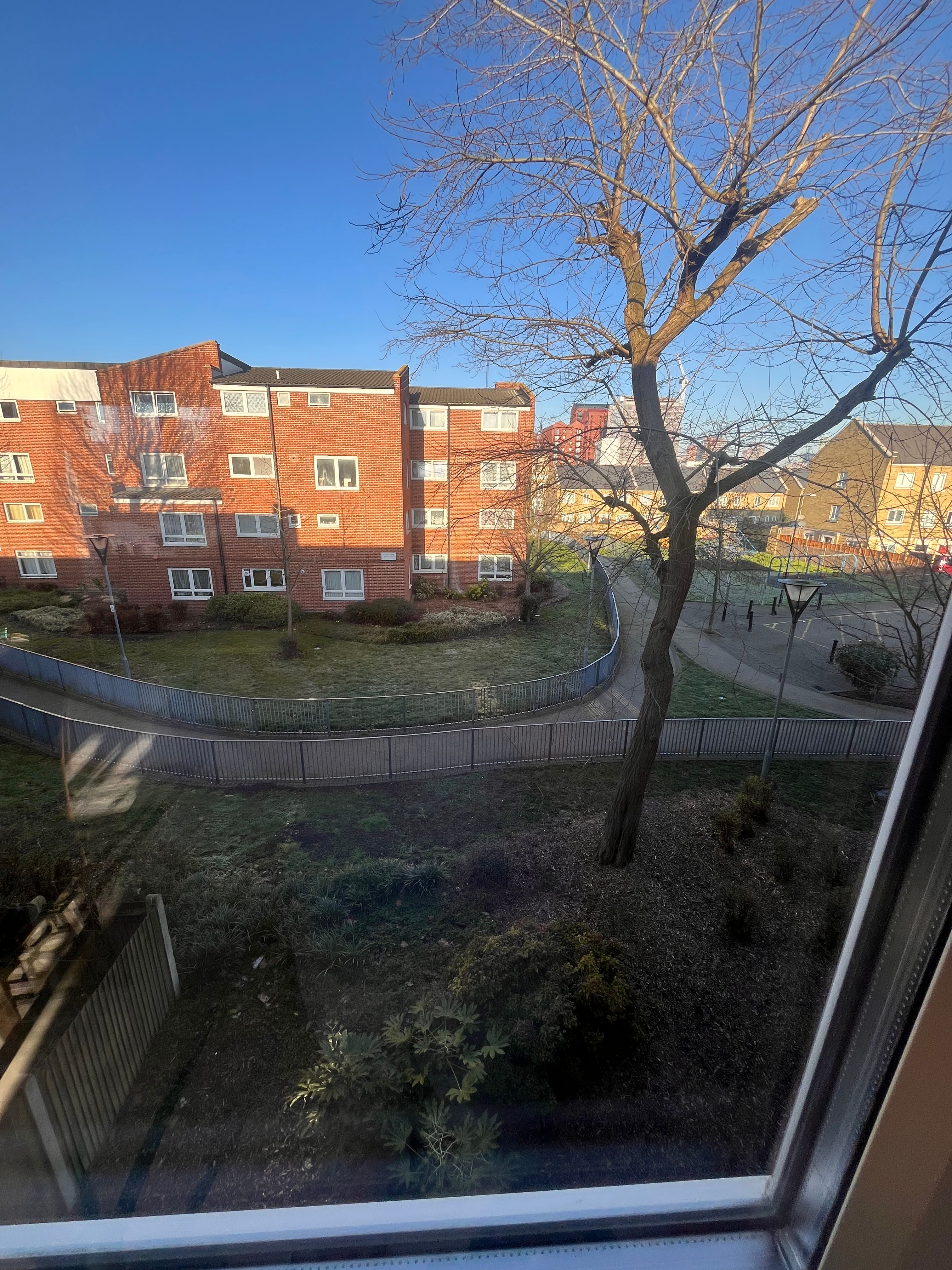 image-20