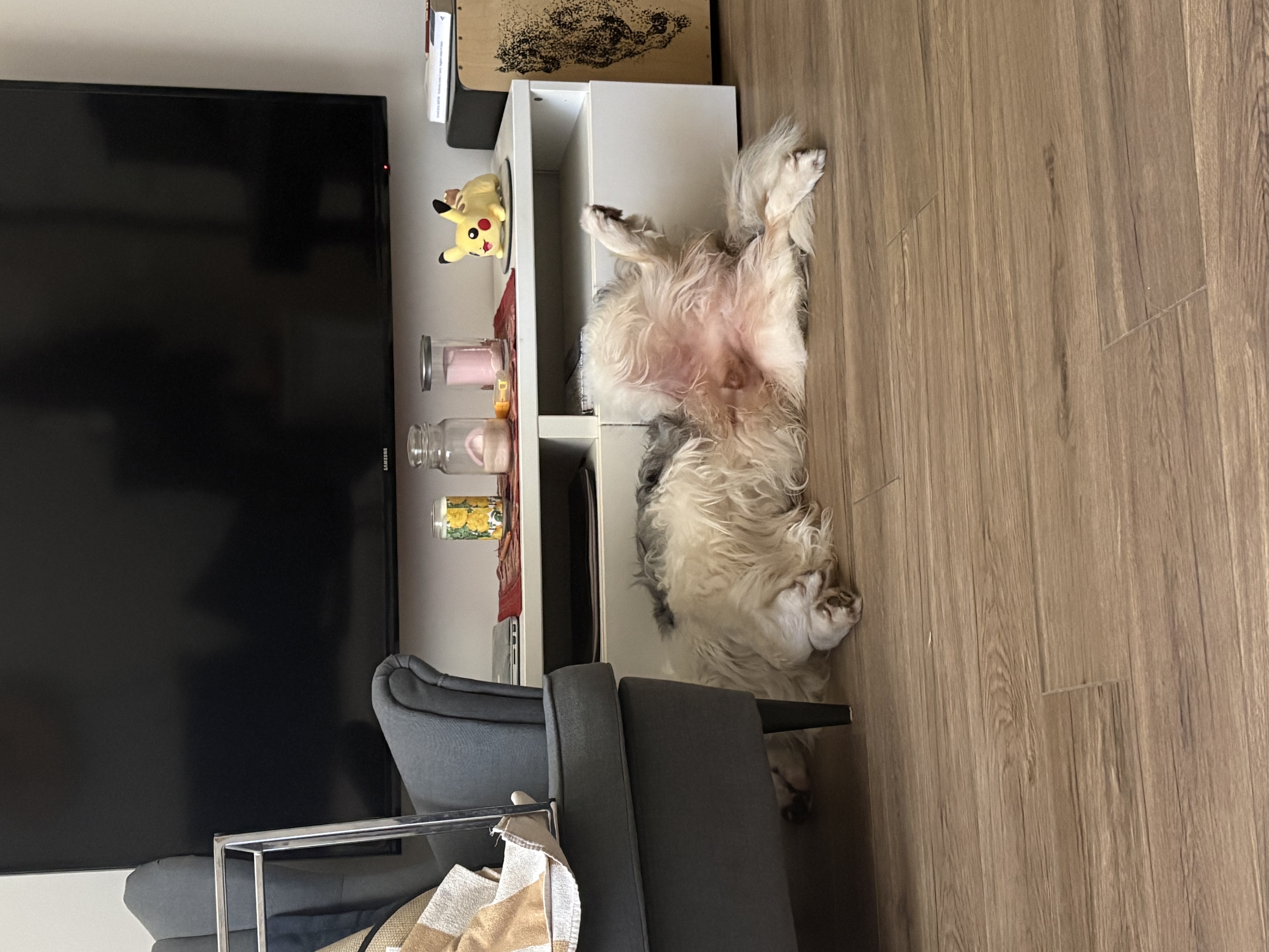 image-13